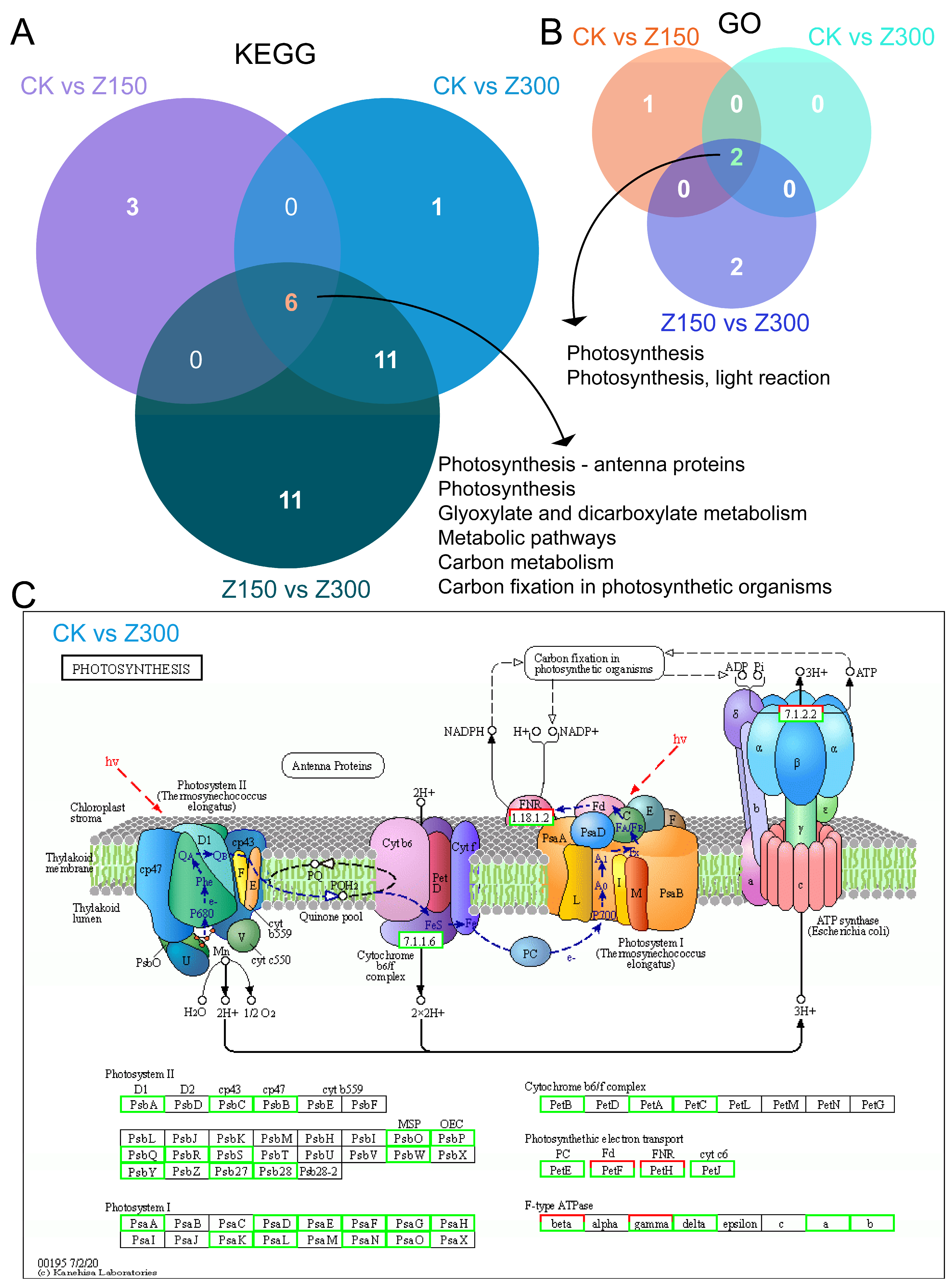 Plants 14 00566 g005