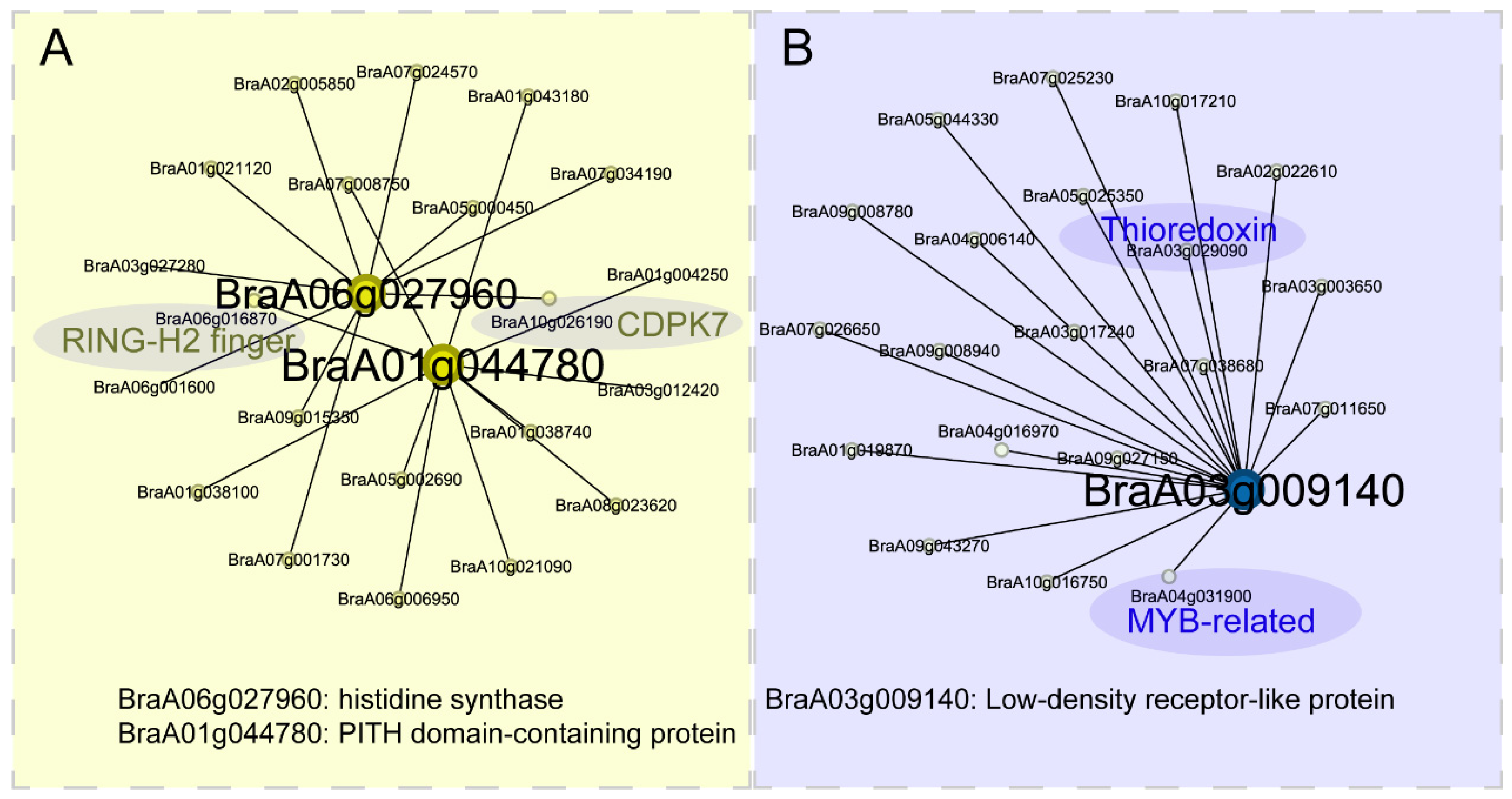 Plants 14 00566 g007