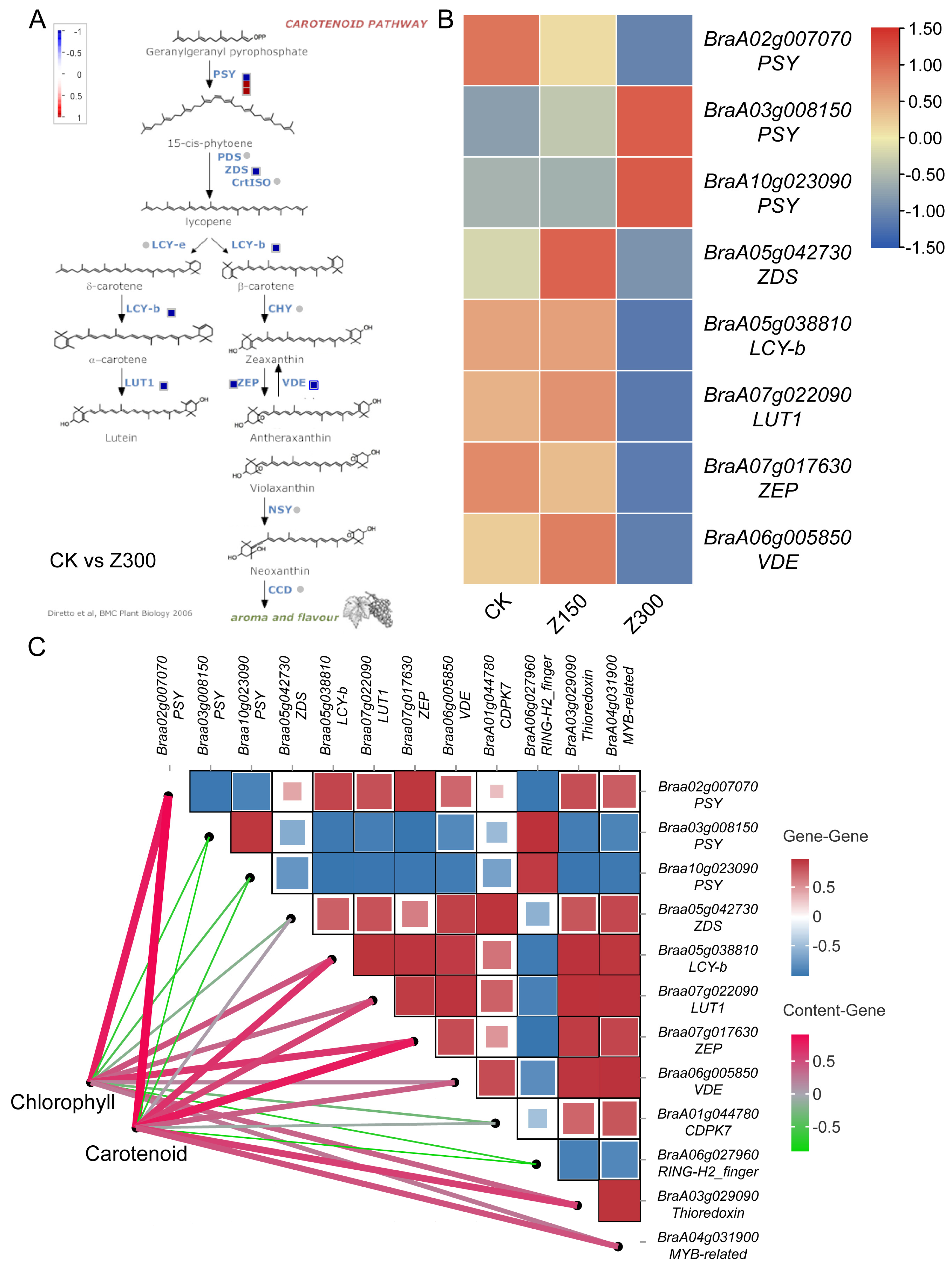 Plants 14 00566 g008