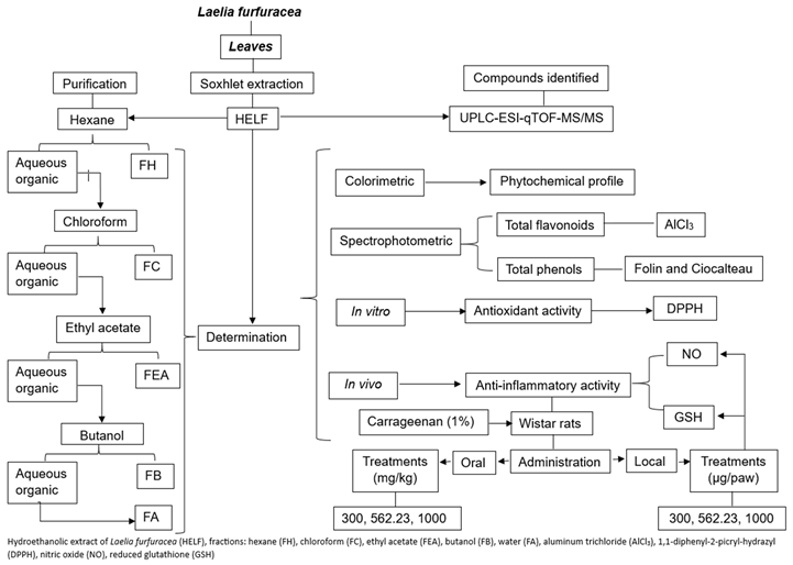 Plants 14 00588 i0a1