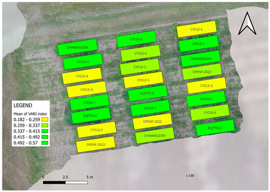 Plants 14 00594 g002