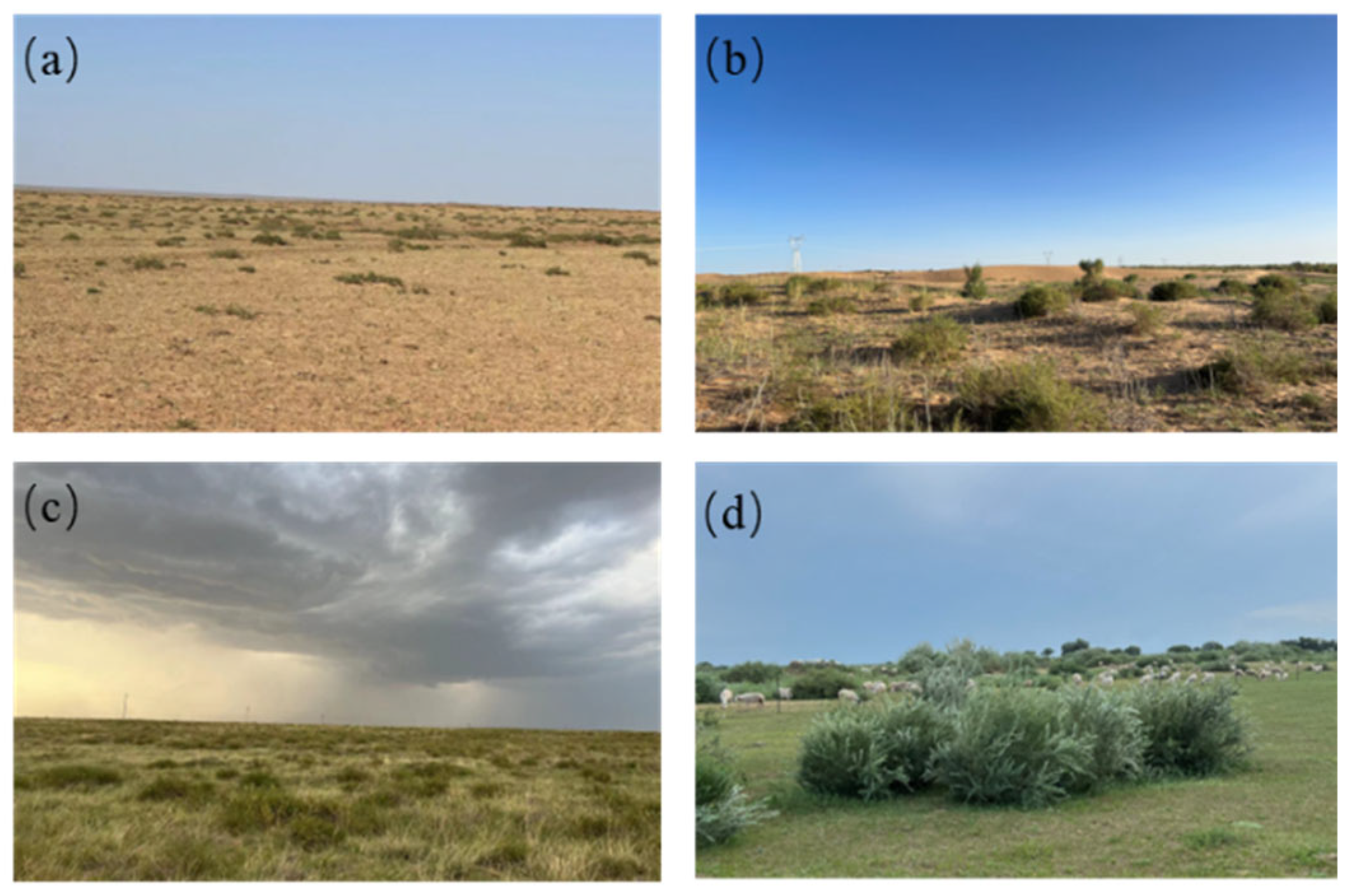 Plants 14 00605 g002