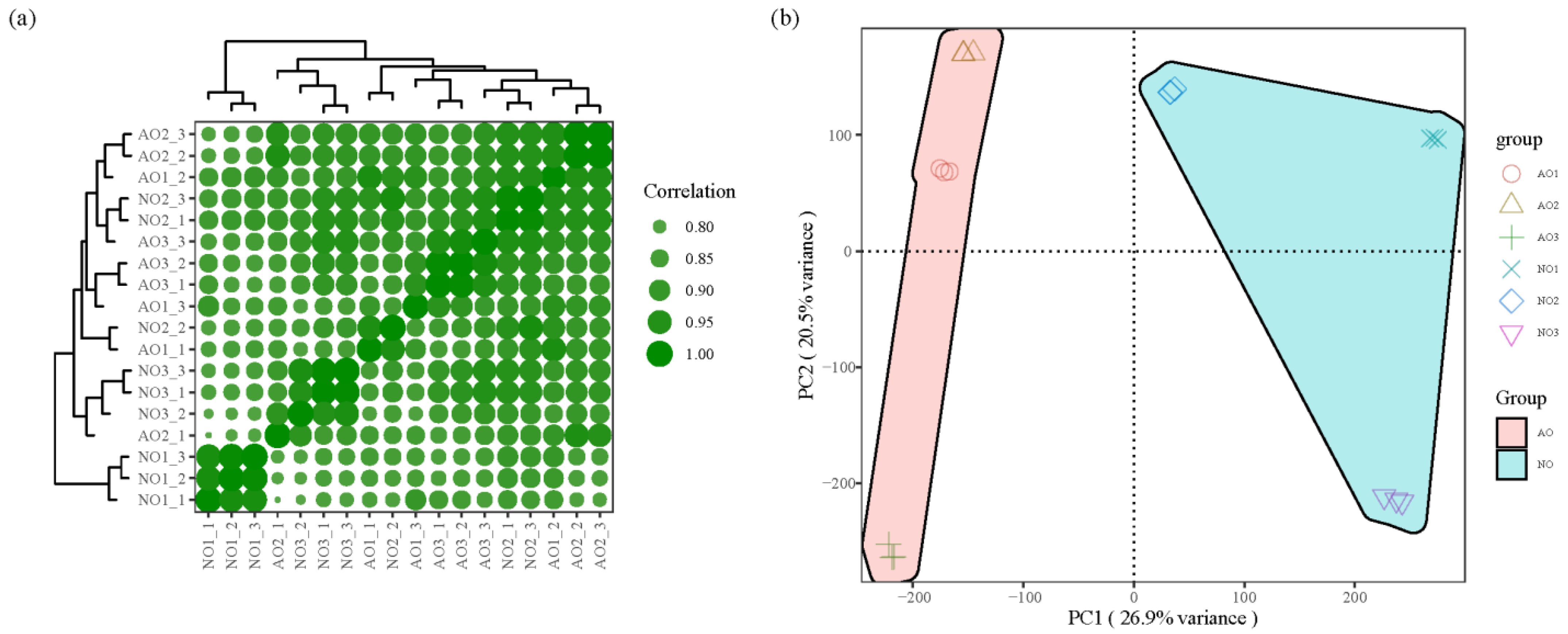Plants 14 00613 g001