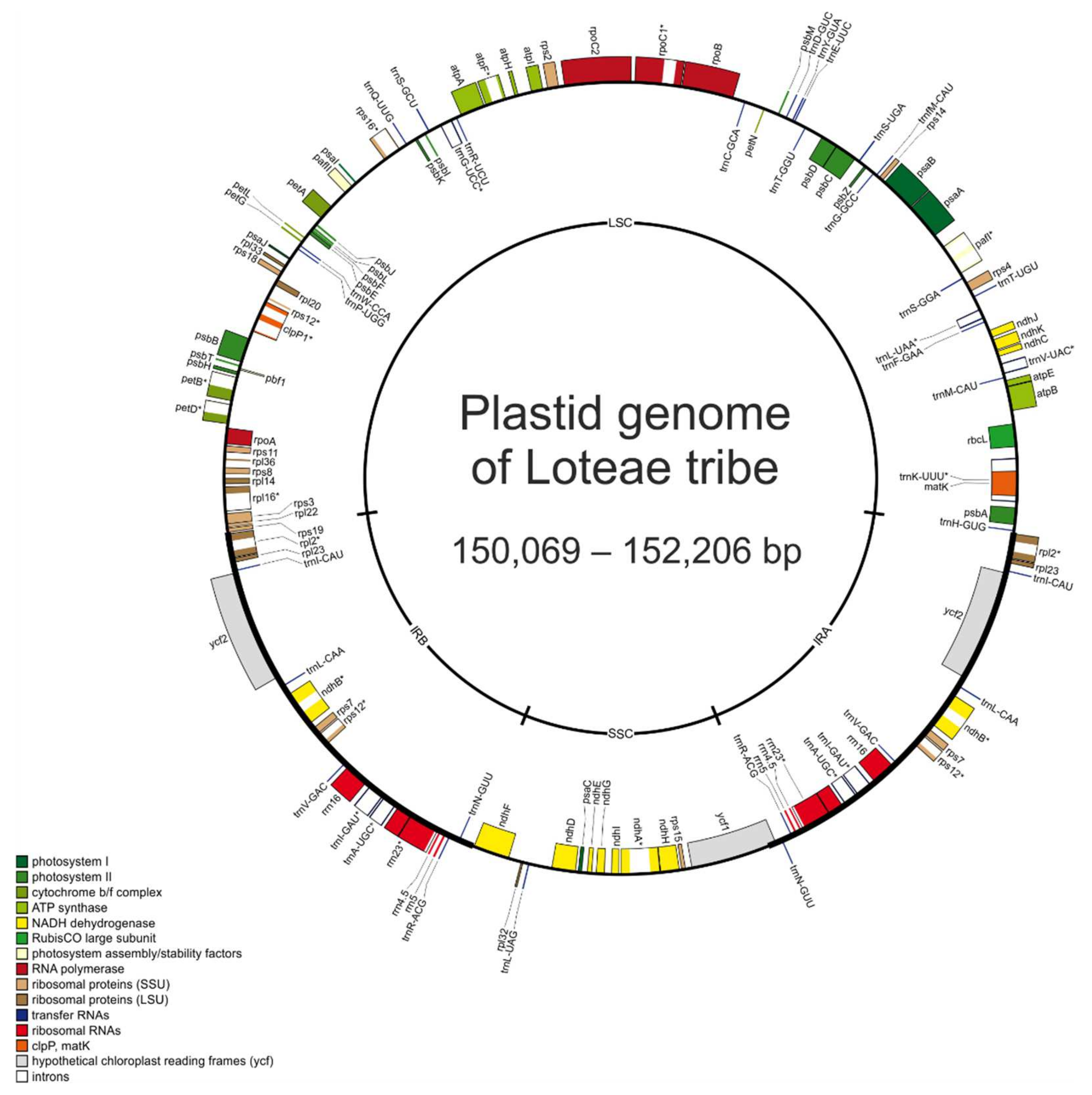 Plants 14 00618 g001
