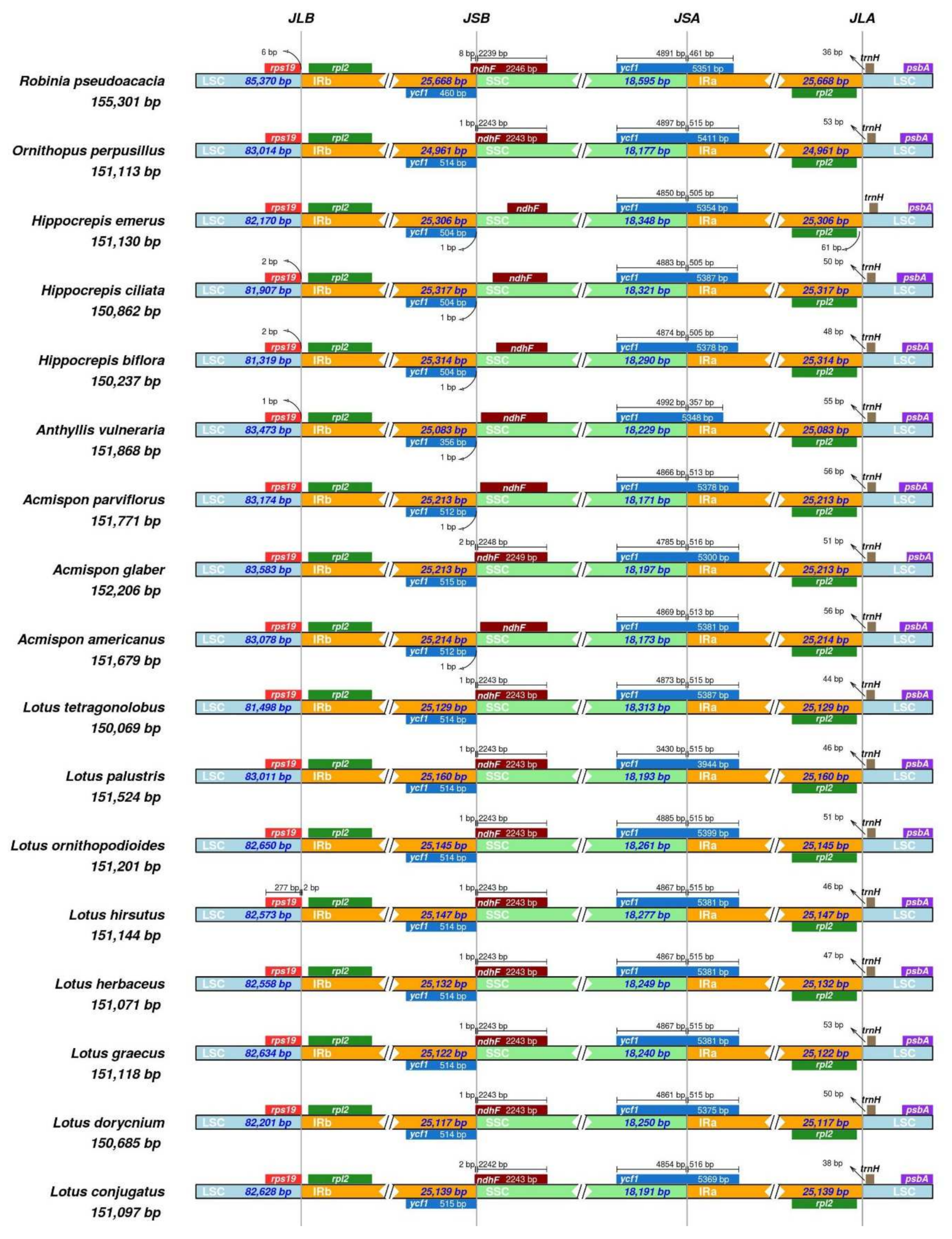 Plants 14 00618 g002