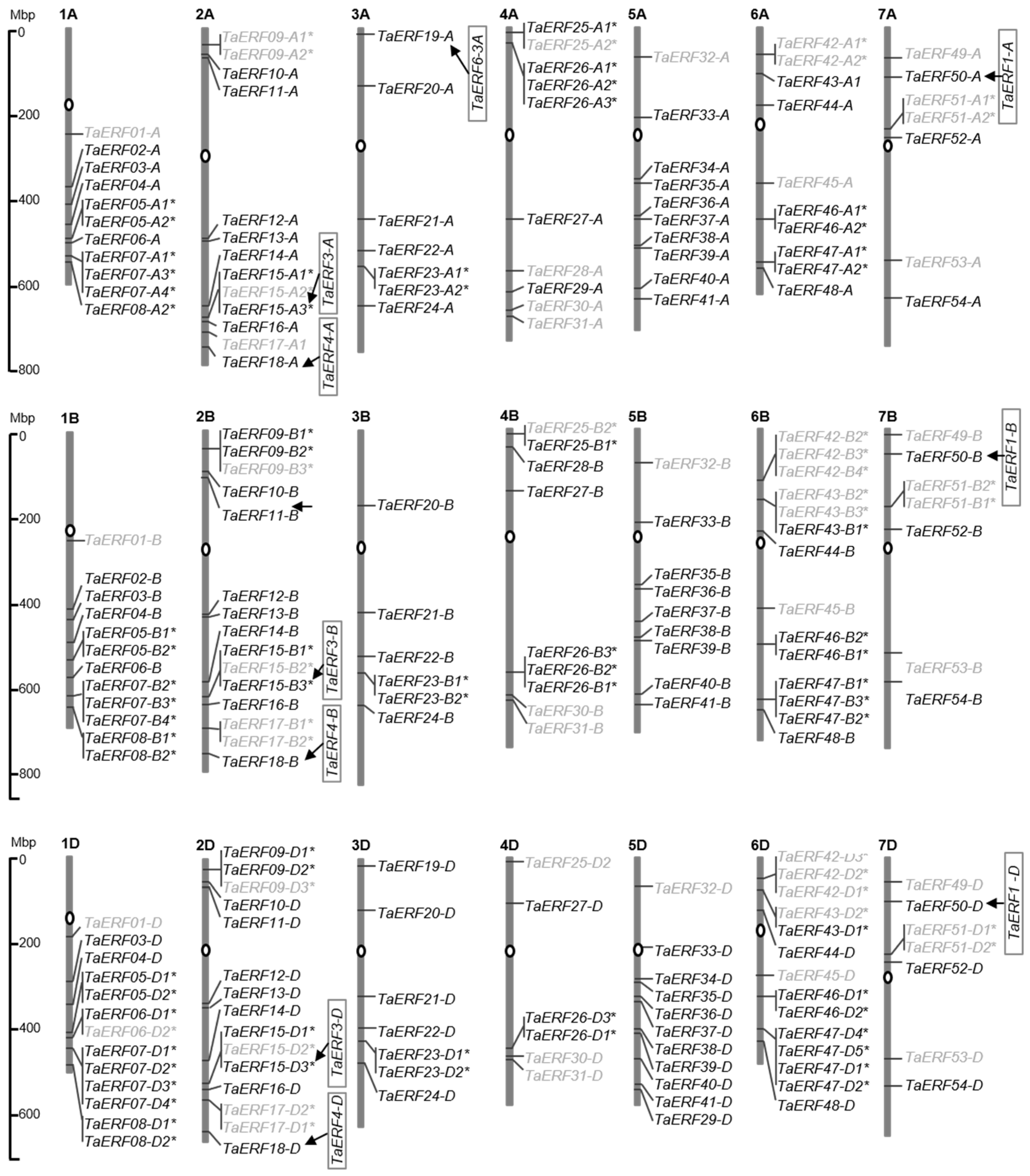 Plants 14 00621 g001
