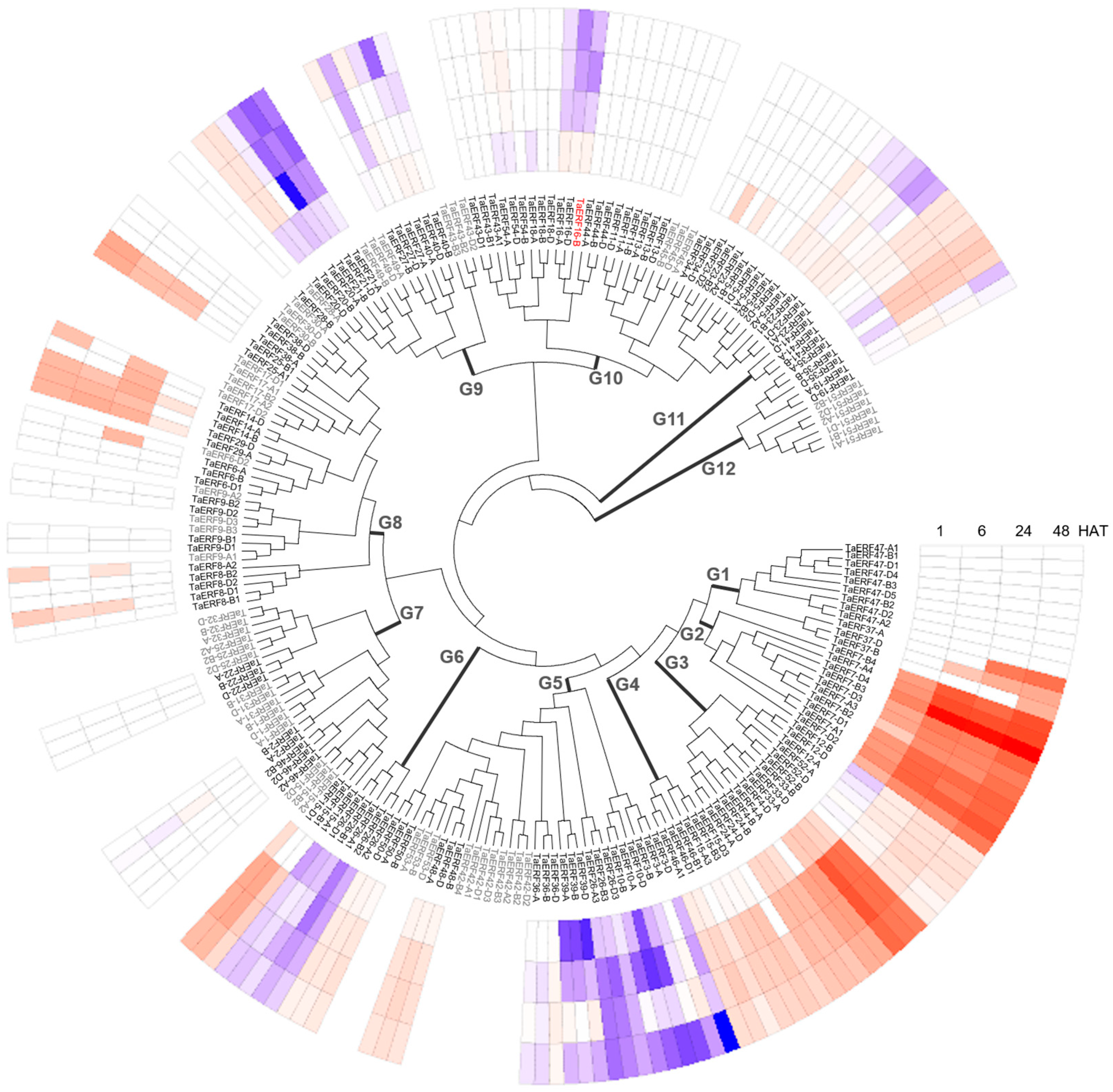 Plants 14 00621 g002