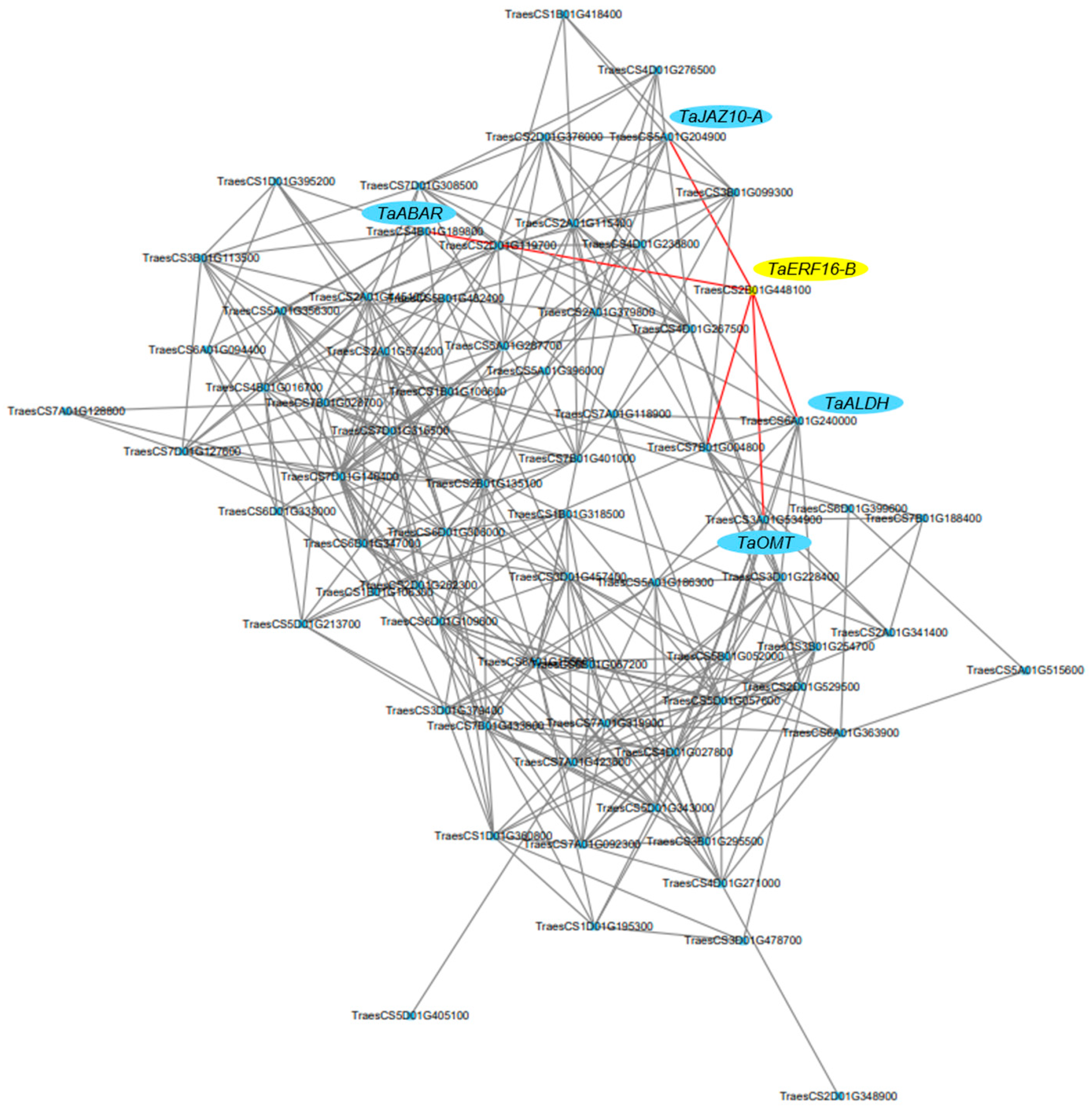 Plants 14 00621 g007