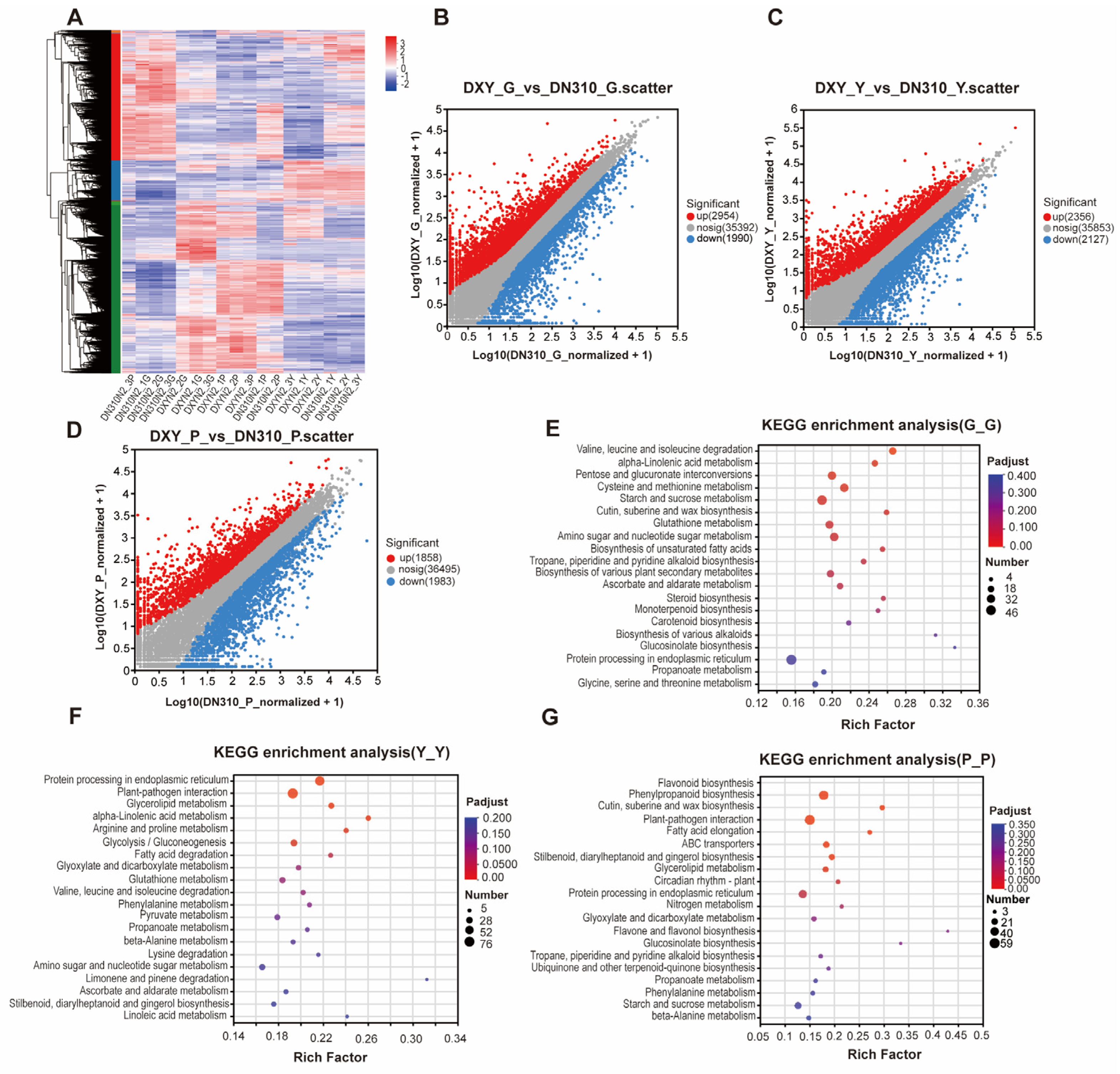 Plants 14 00633 g003
