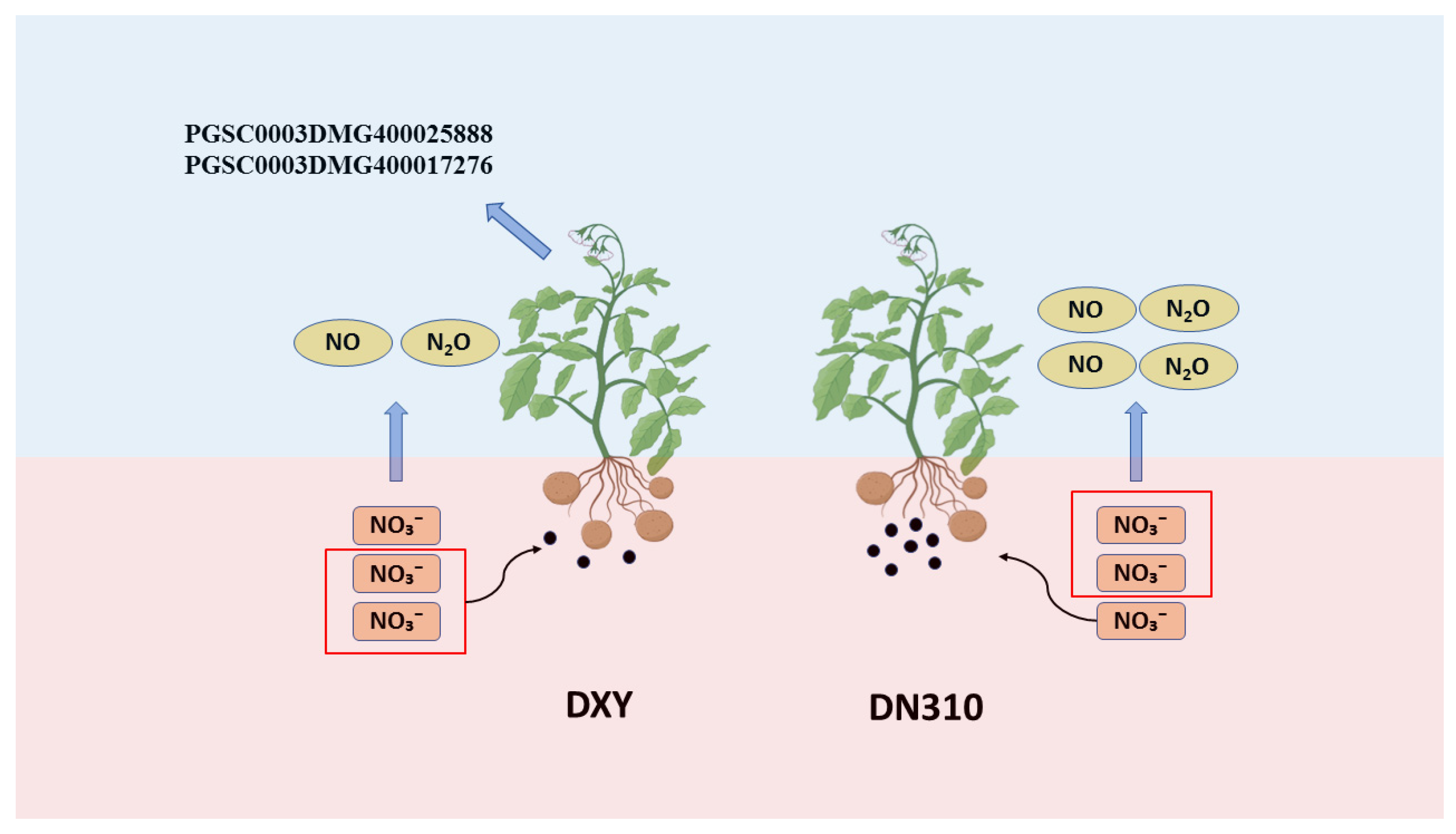 Plants 14 00633 g006
