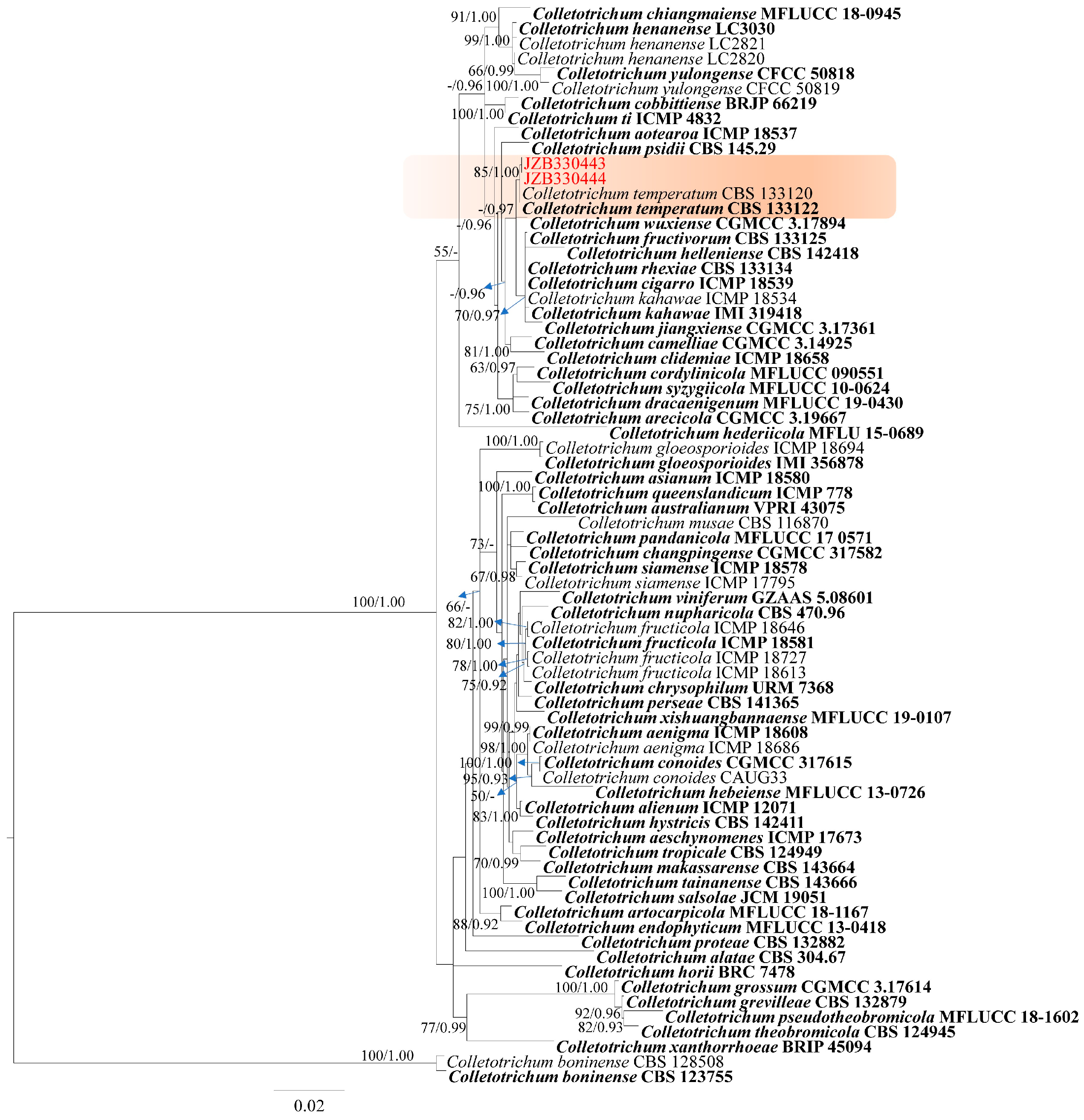 Plants 14 00647 g002