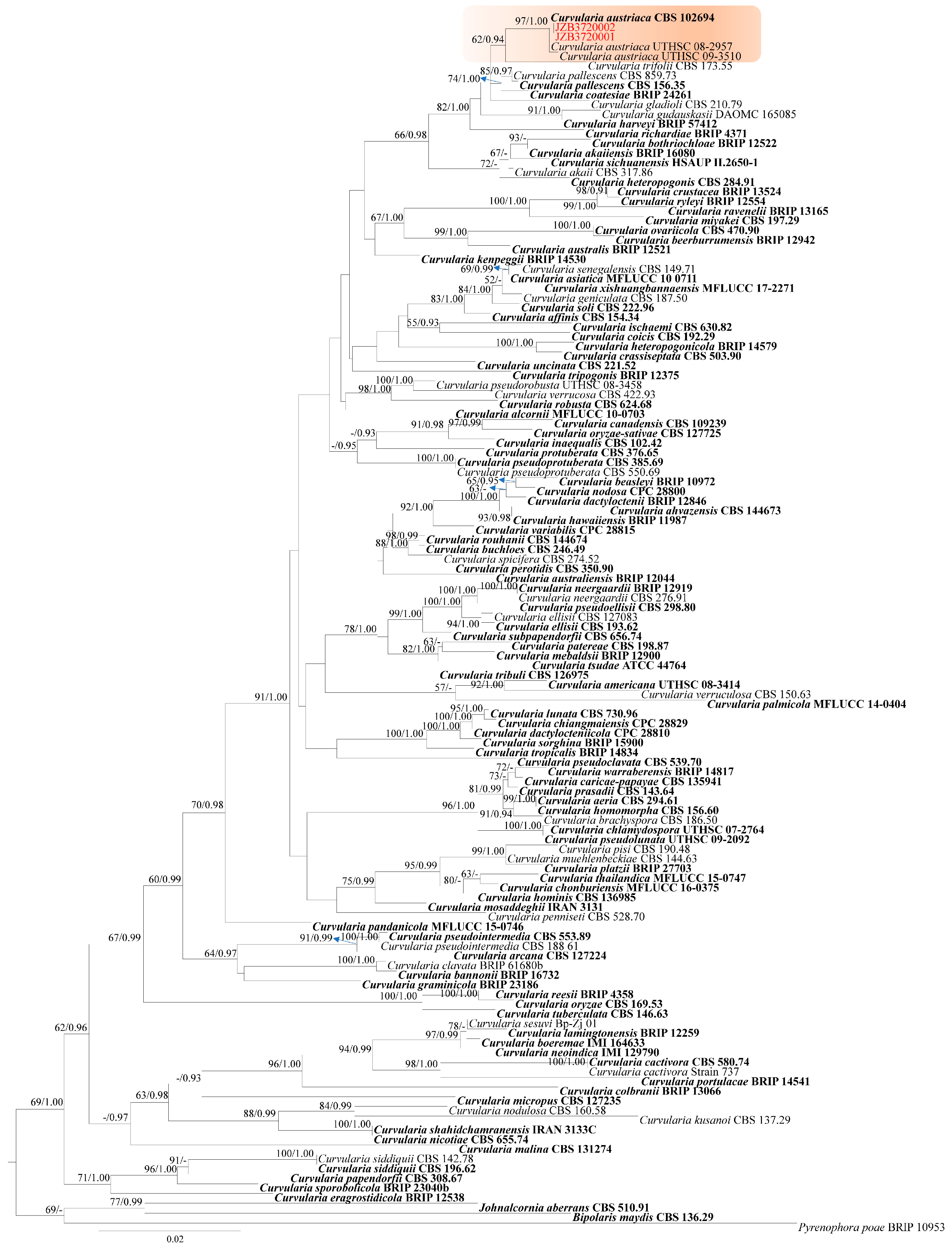 Plants 14 00647 g004