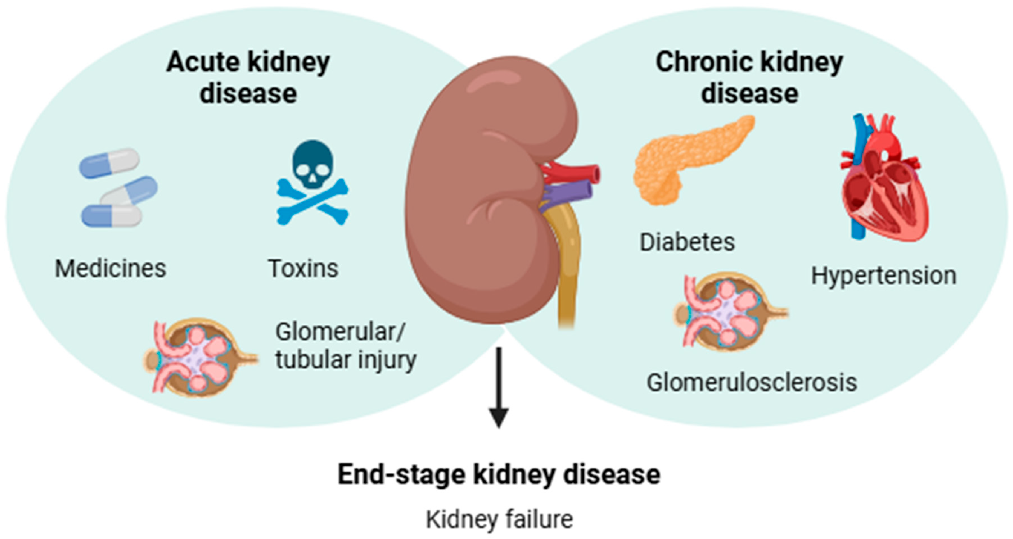 Plants 14 00648 g001