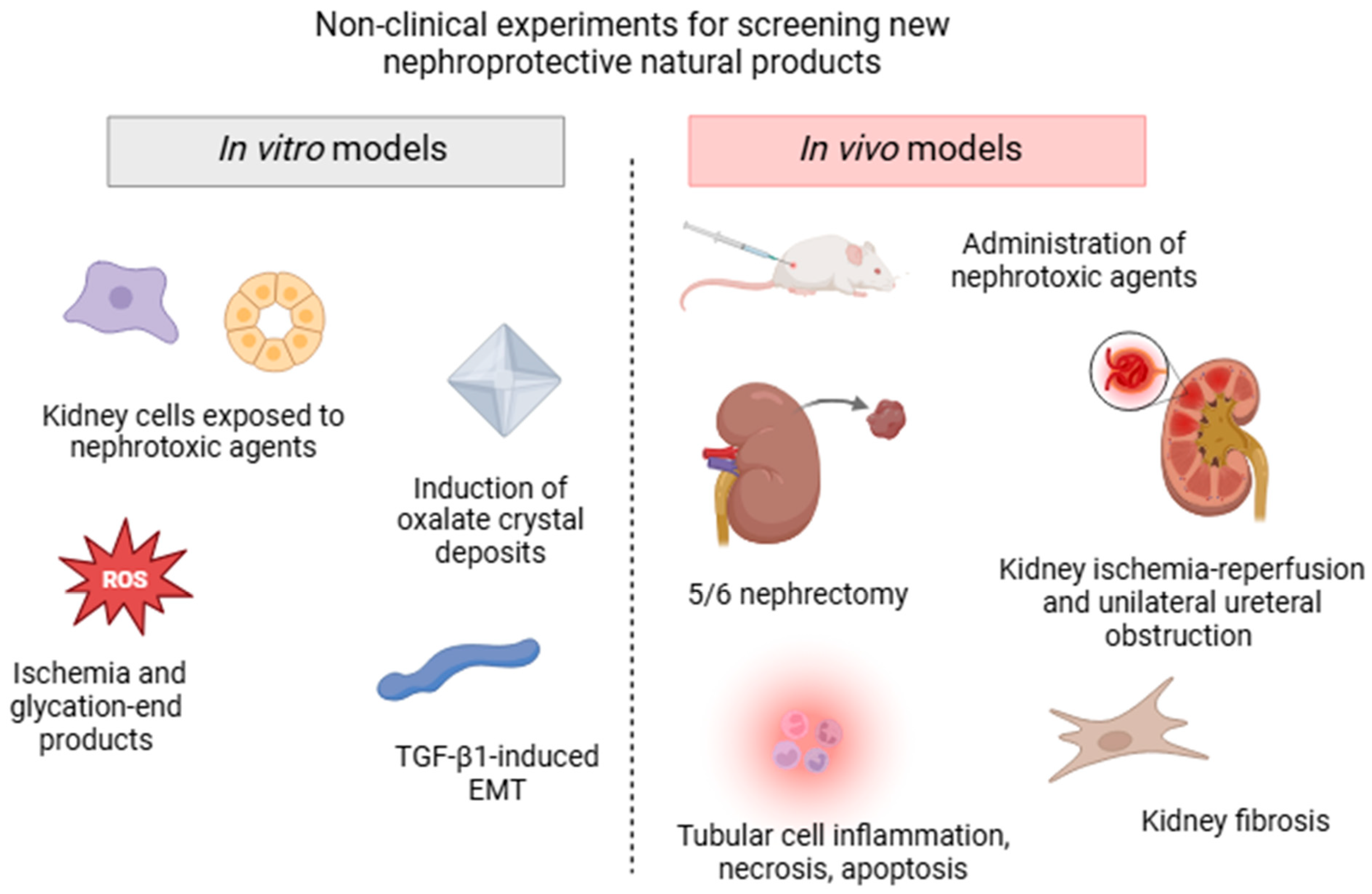 Plants 14 00648 g002