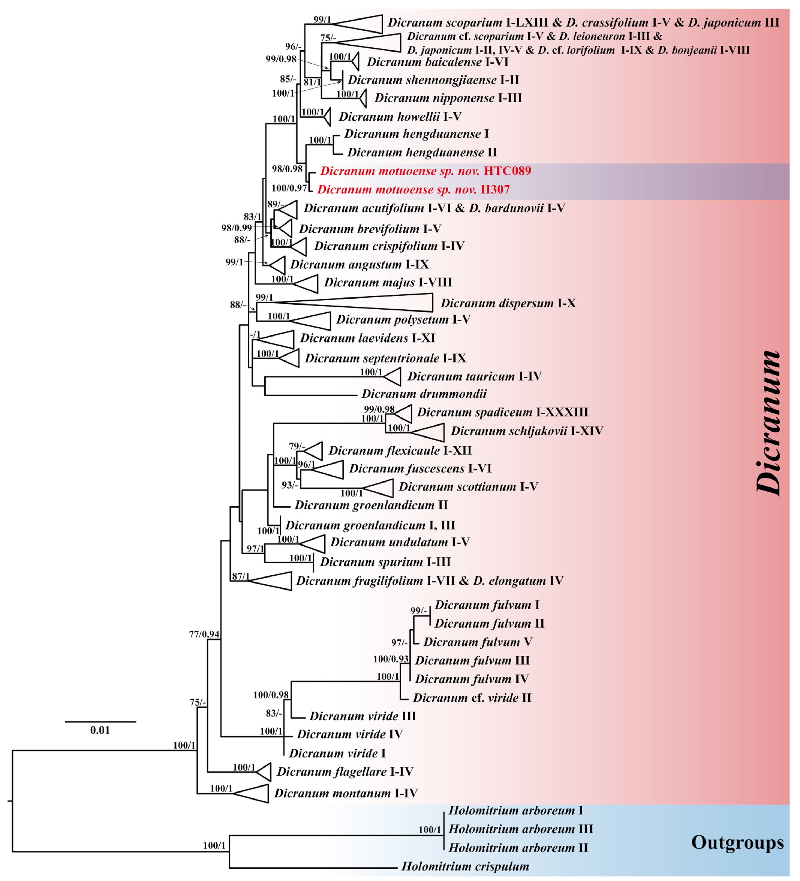 Plants 14 00650 g001 Plants 14 00650 g001