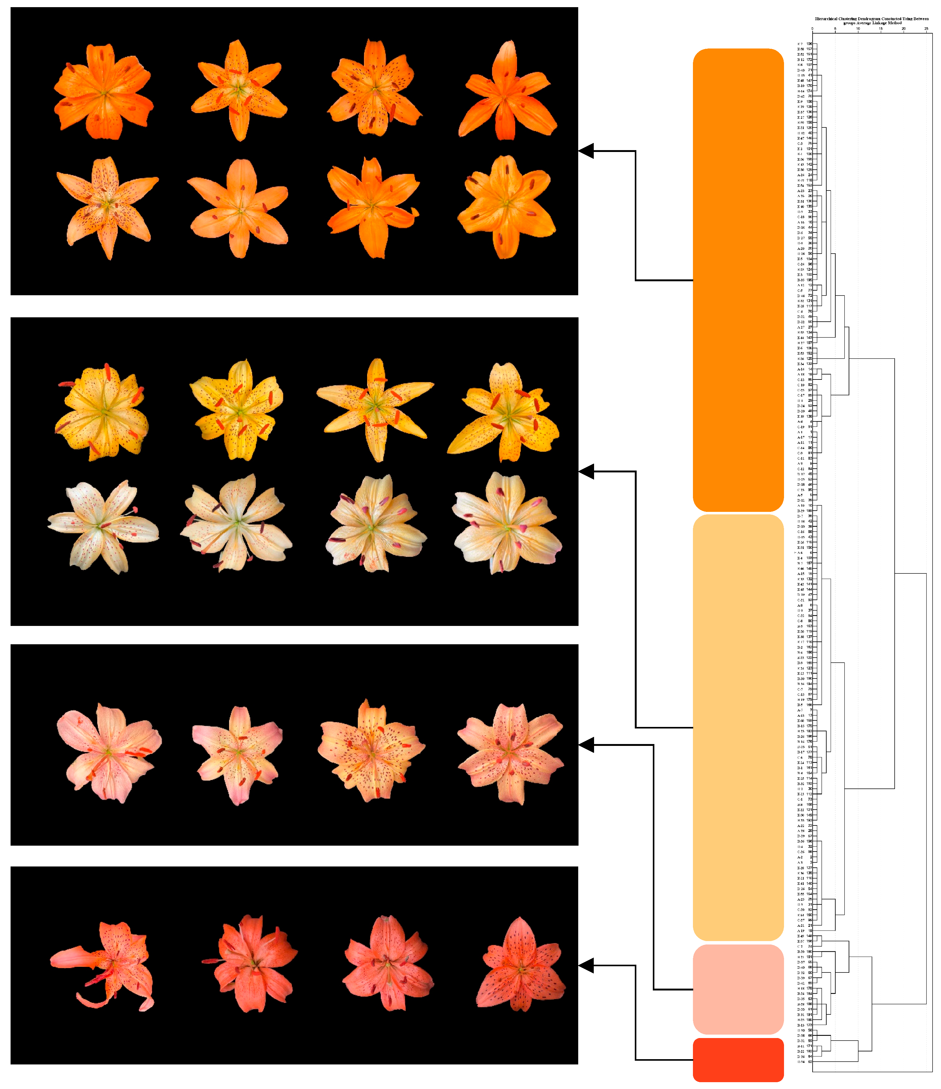 Plants 14 00656 g010