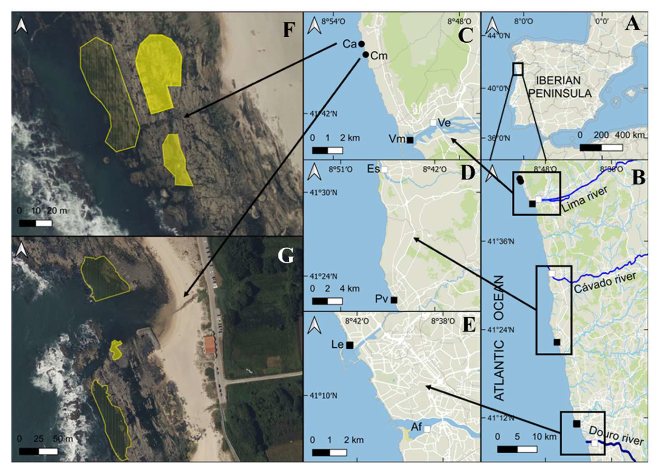 Plants 14 00658 g001