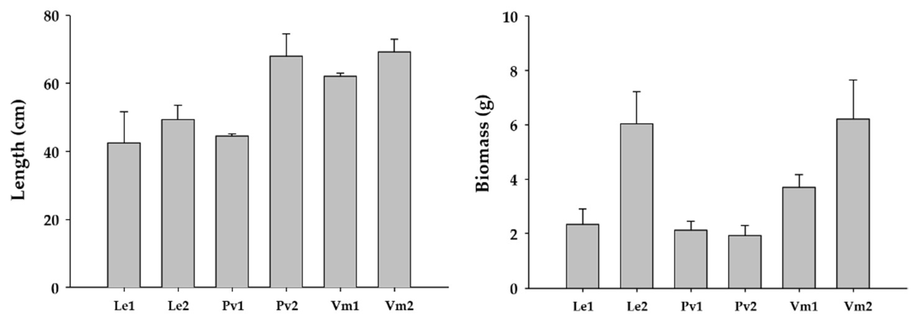 Plants 14 00658 g003