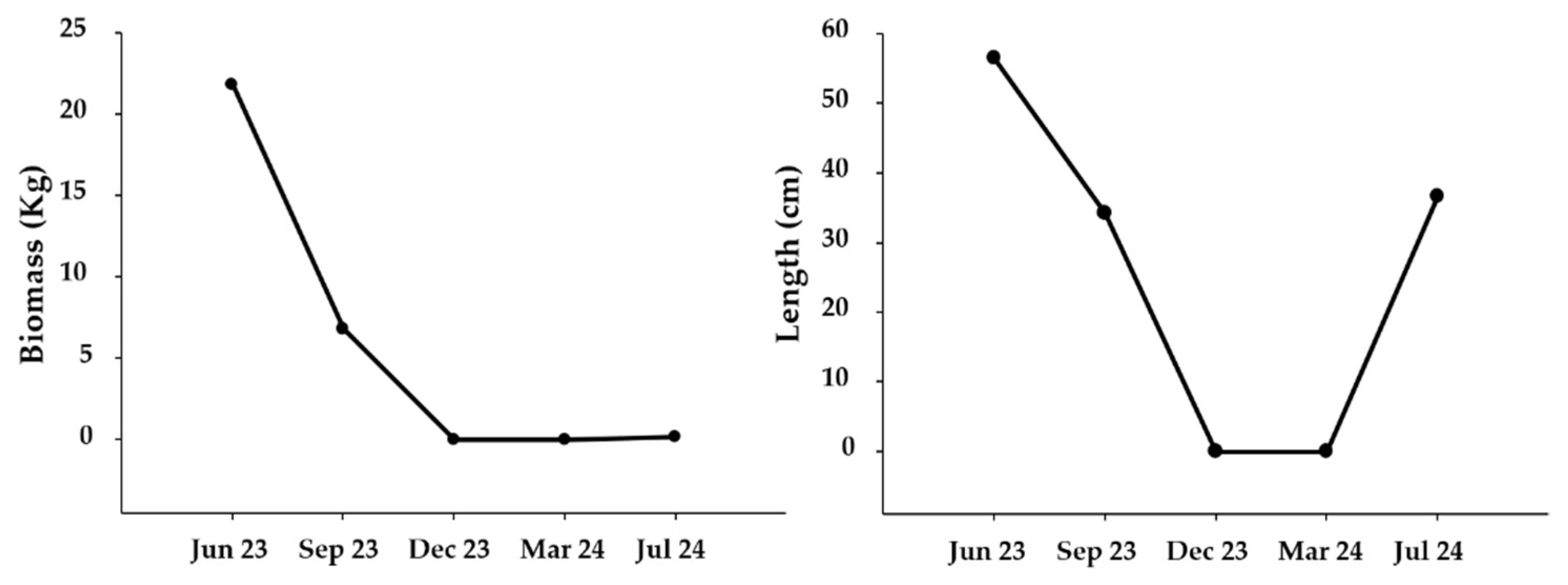 Plants 14 00658 g007