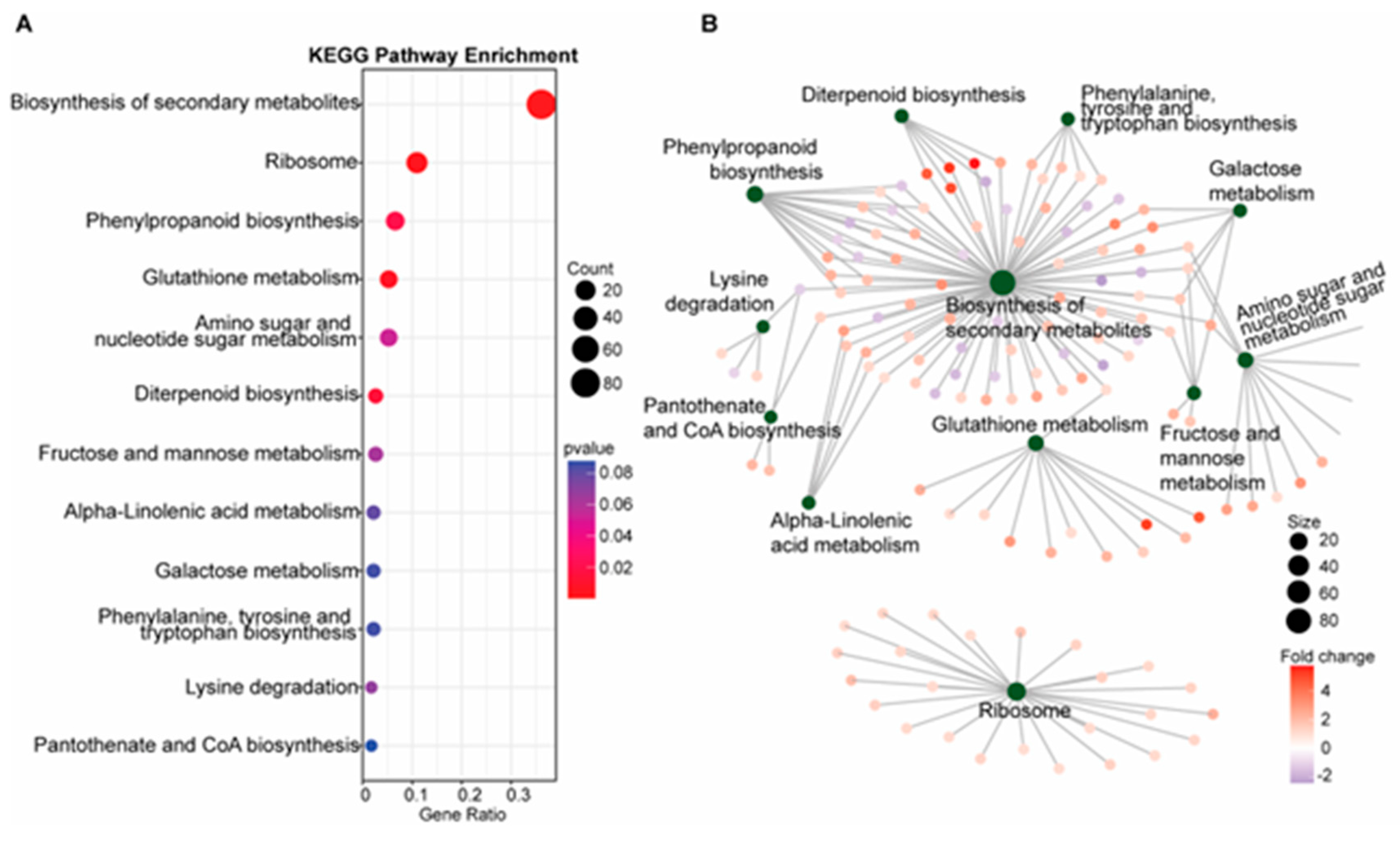 Plants 14 00665 g002