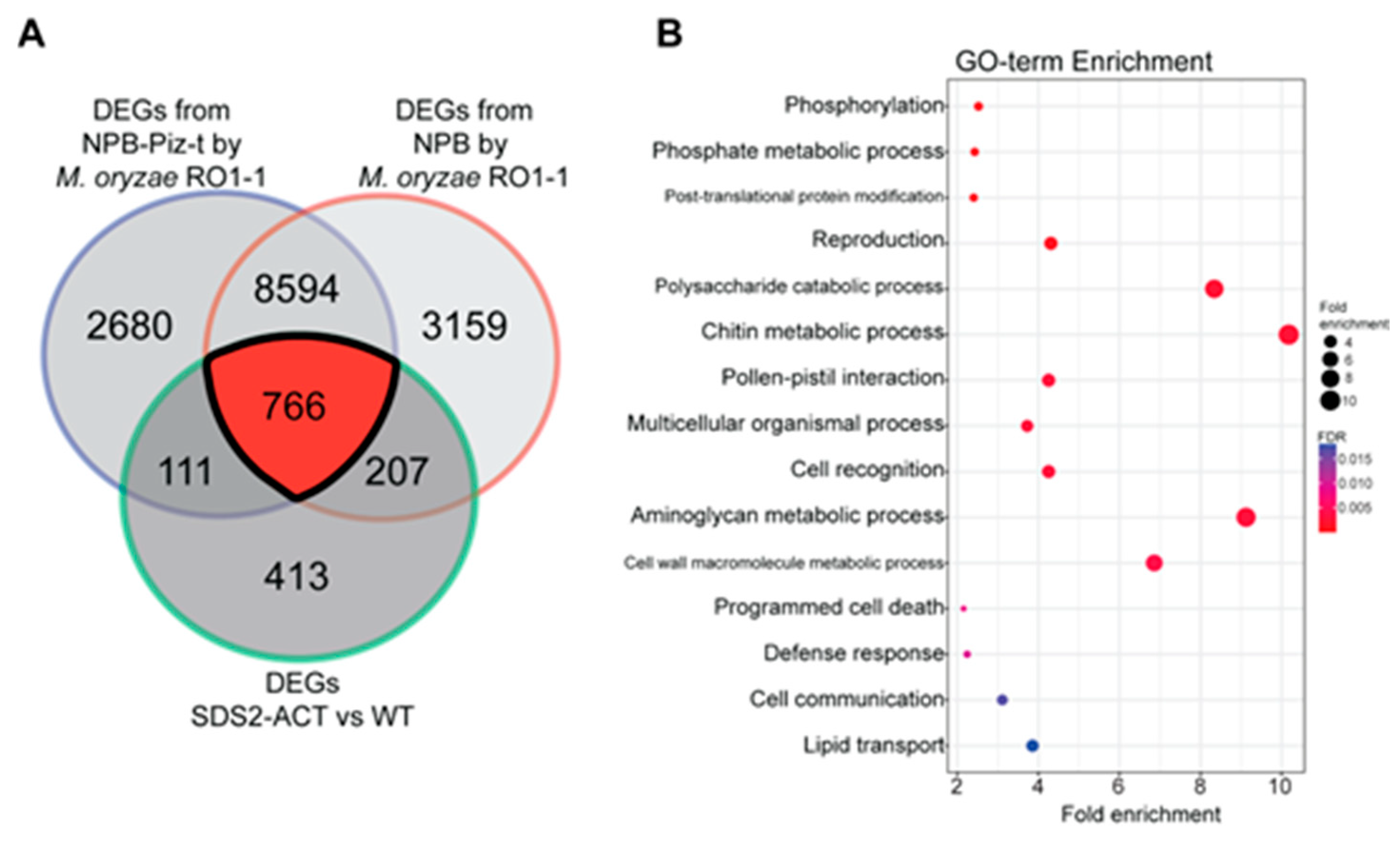 Plants 14 00665 g003