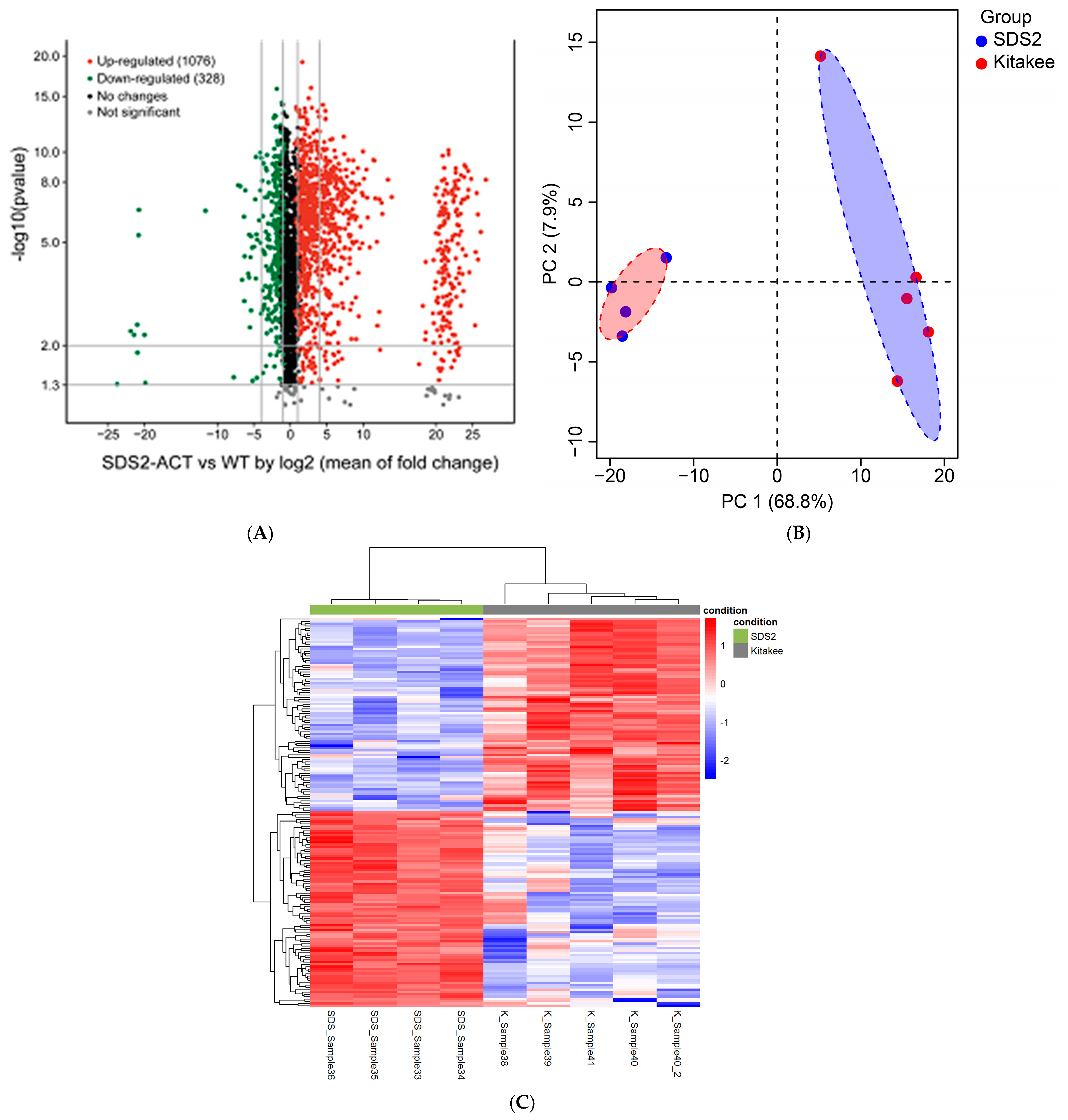 Plants 14 00665 g004