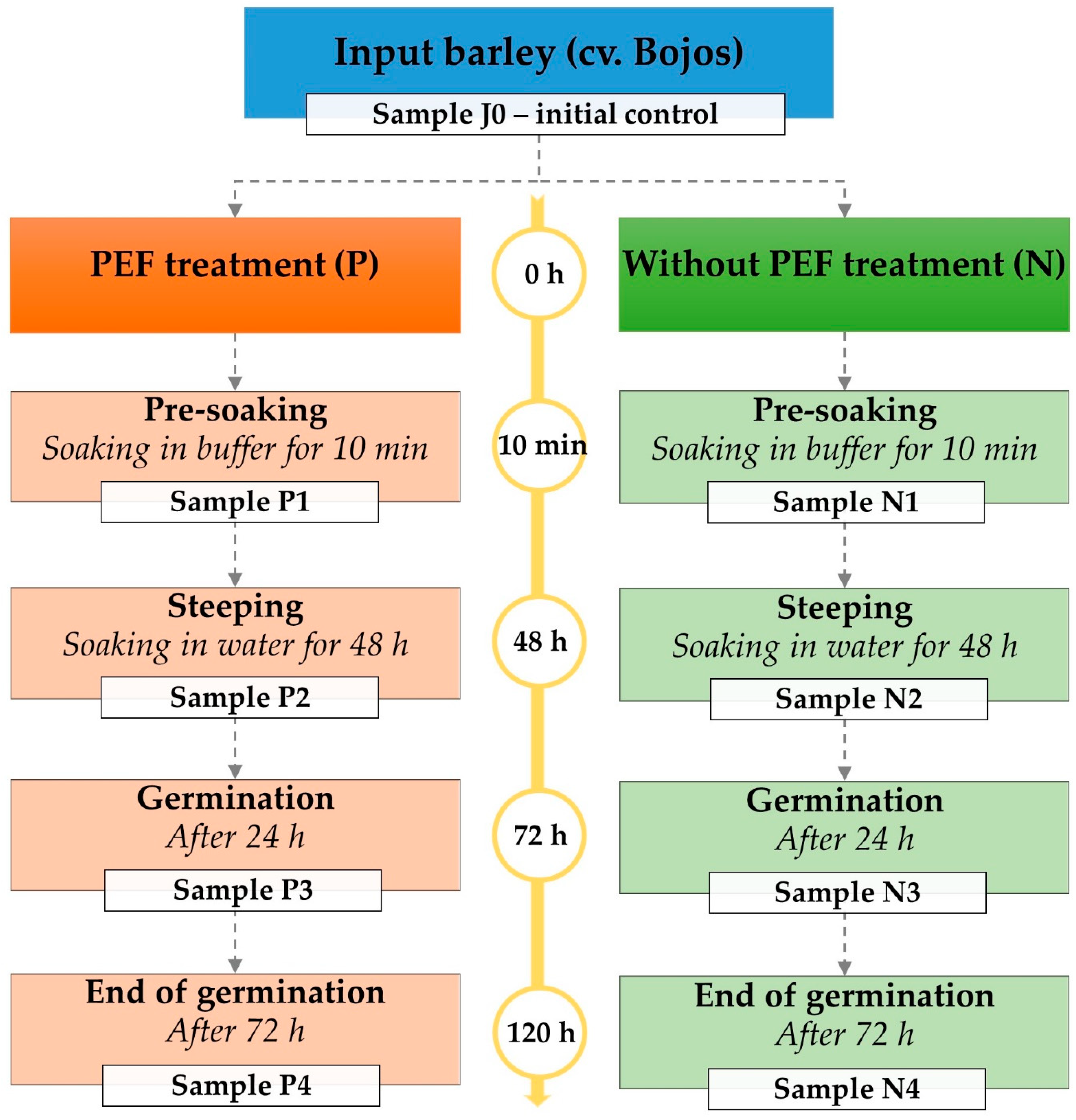 Plants 14 00668 g001