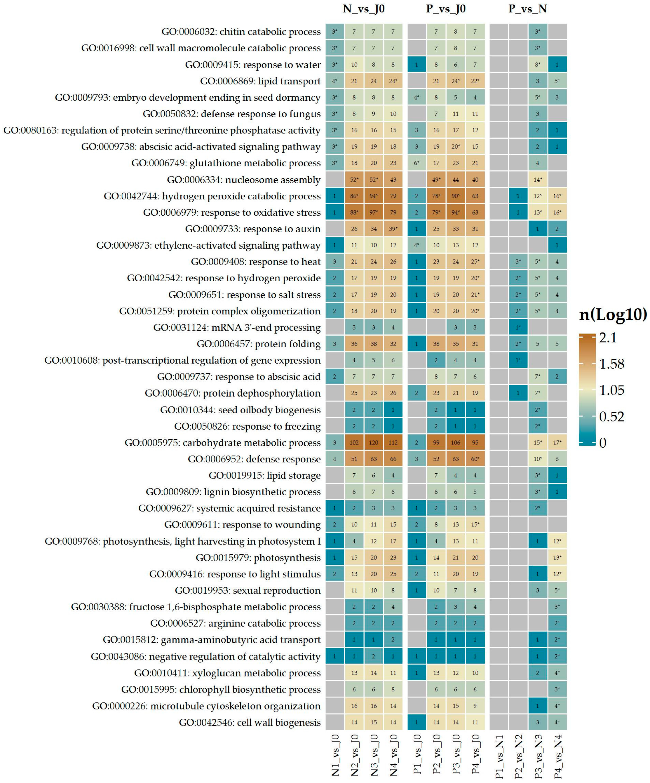 Plants 14 00668 g003