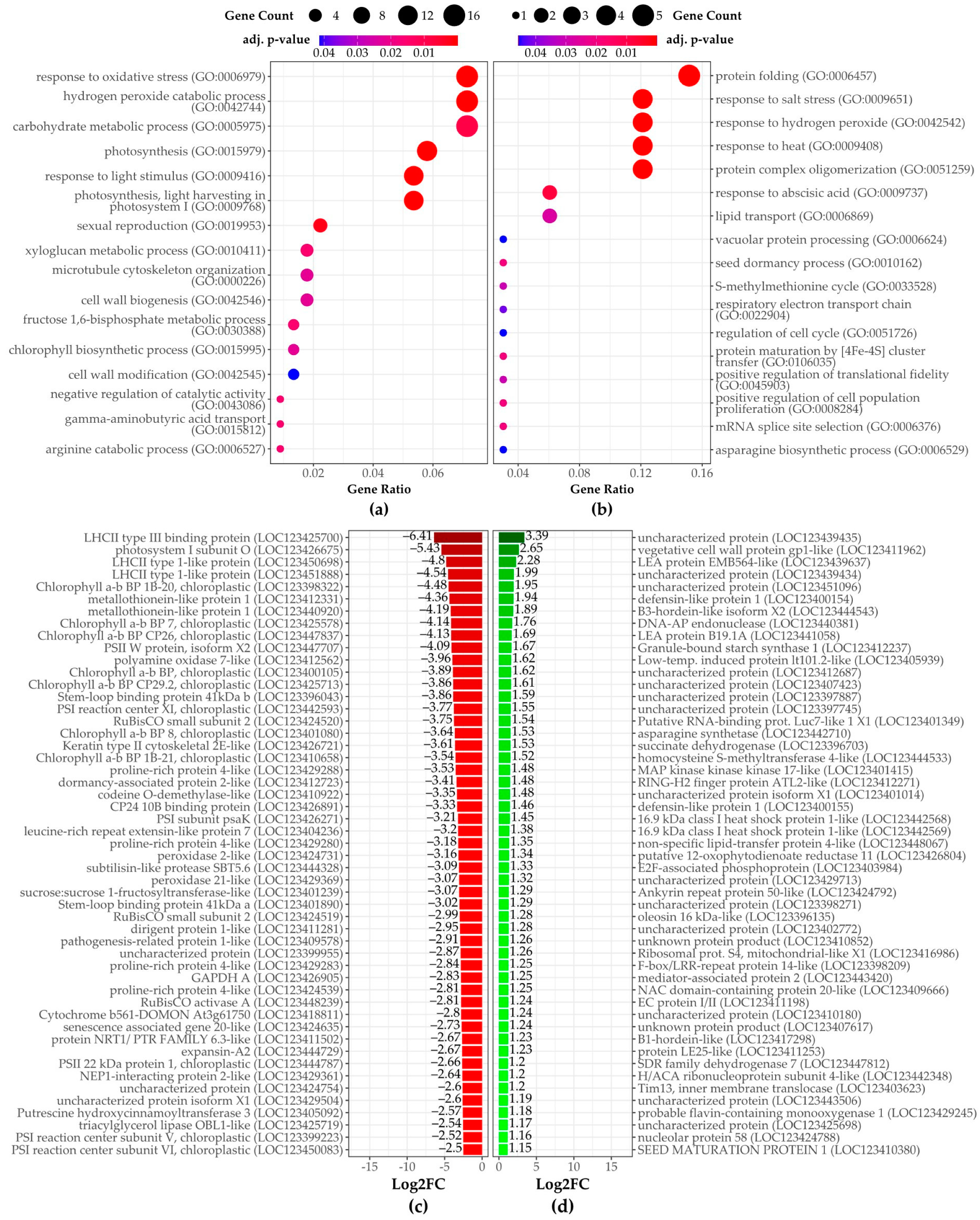 Plants 14 00668 g007