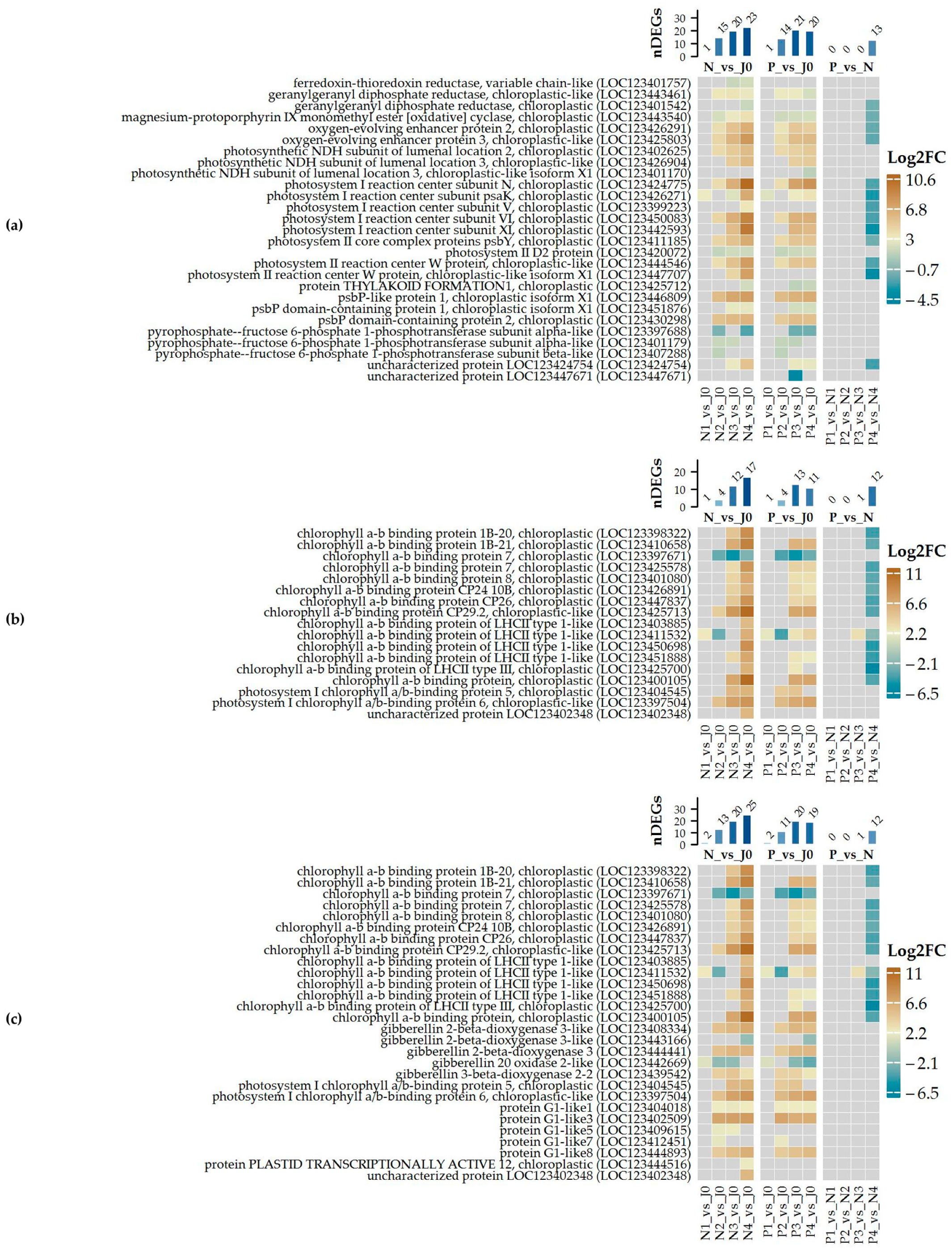 Plants 14 00668 g008