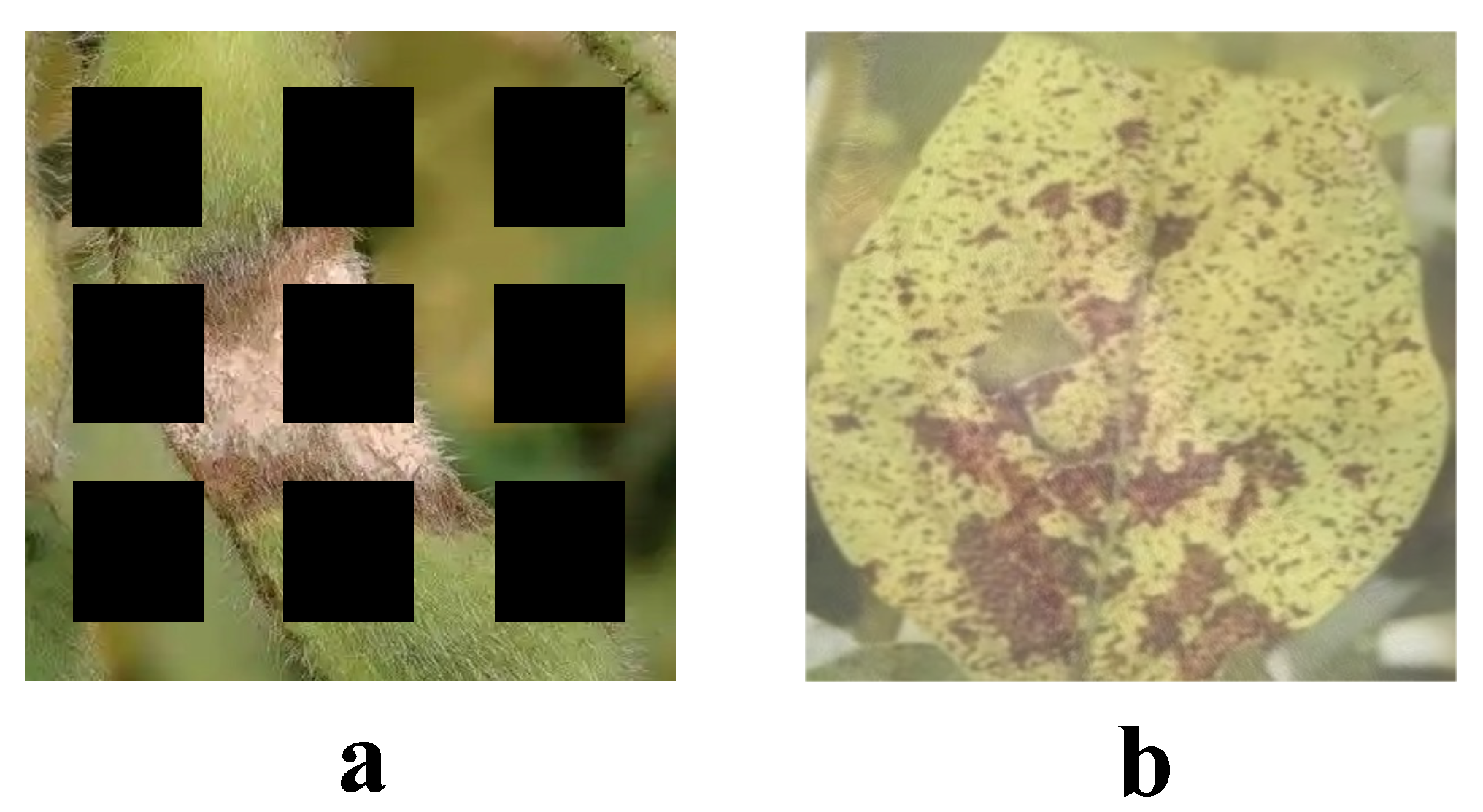 Plants 14 00675 g002