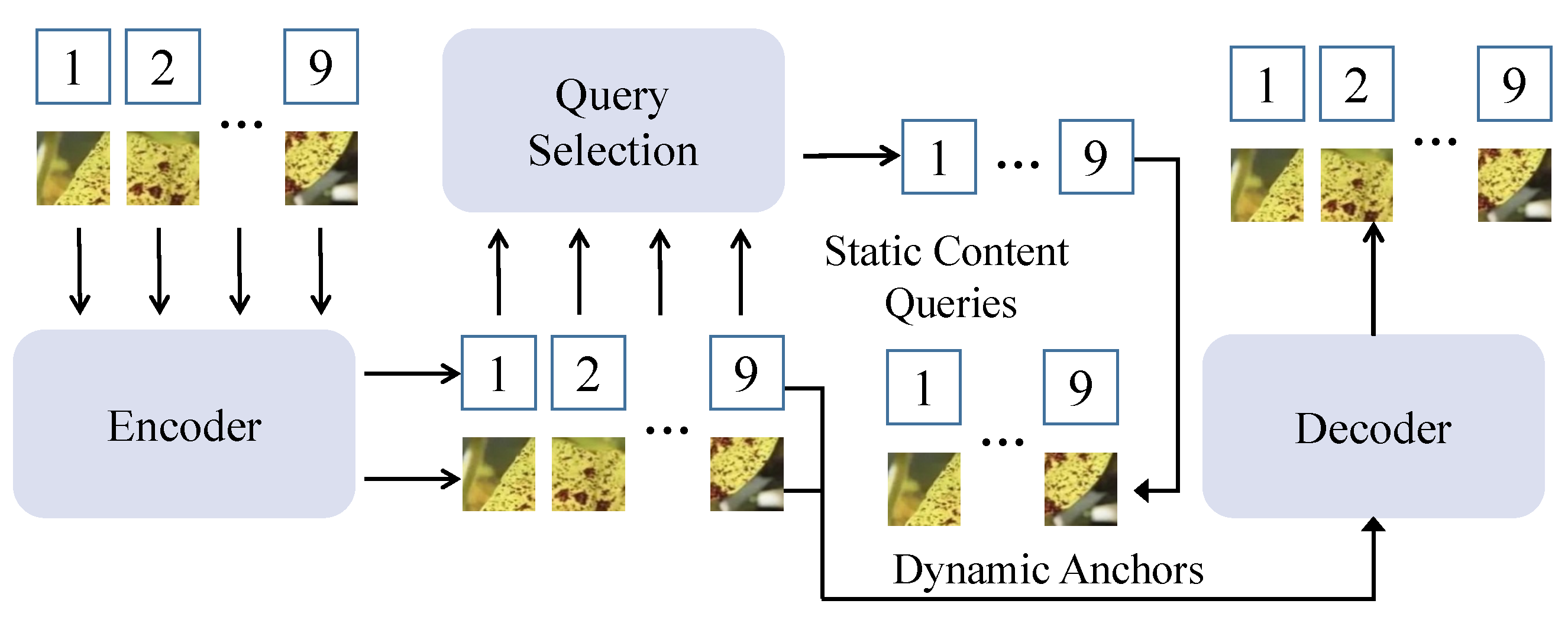 Plants 14 00675 g006
