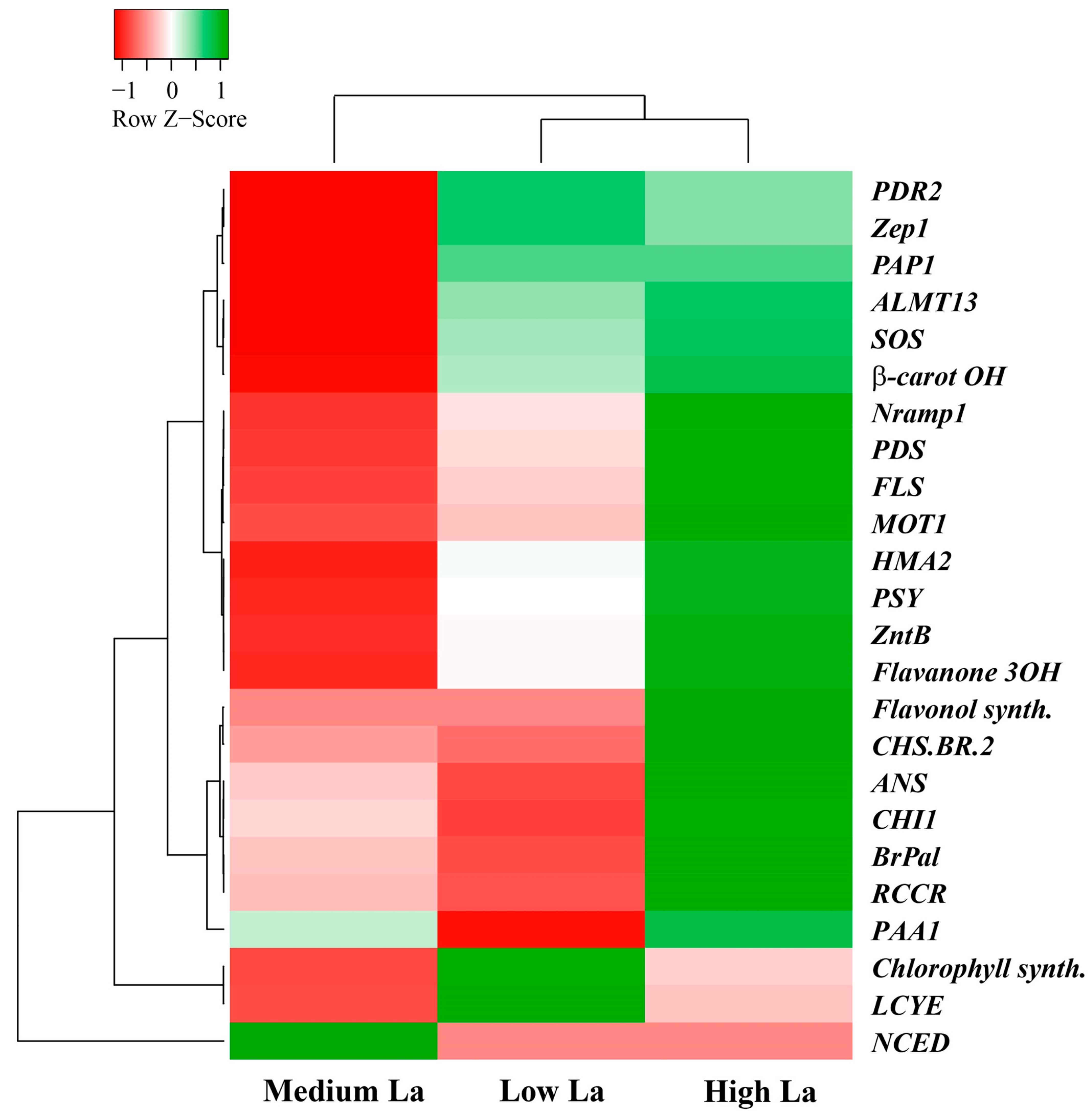 Plants 14 00692 g006