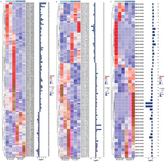 Plants 14 00696 g0a5