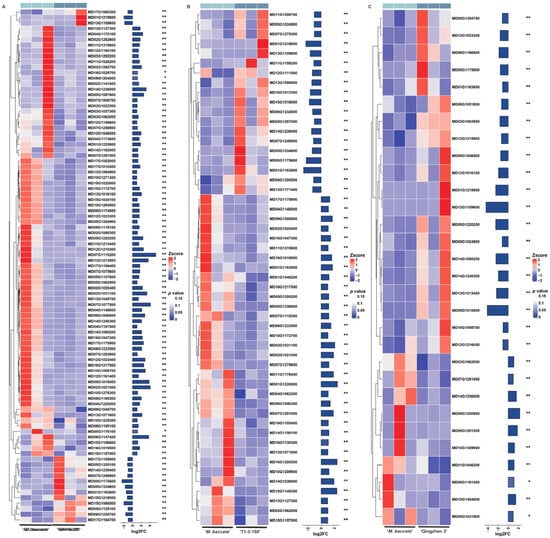 Plants 14 00696 g0a6