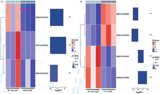 Plants 14 00696 g0a7