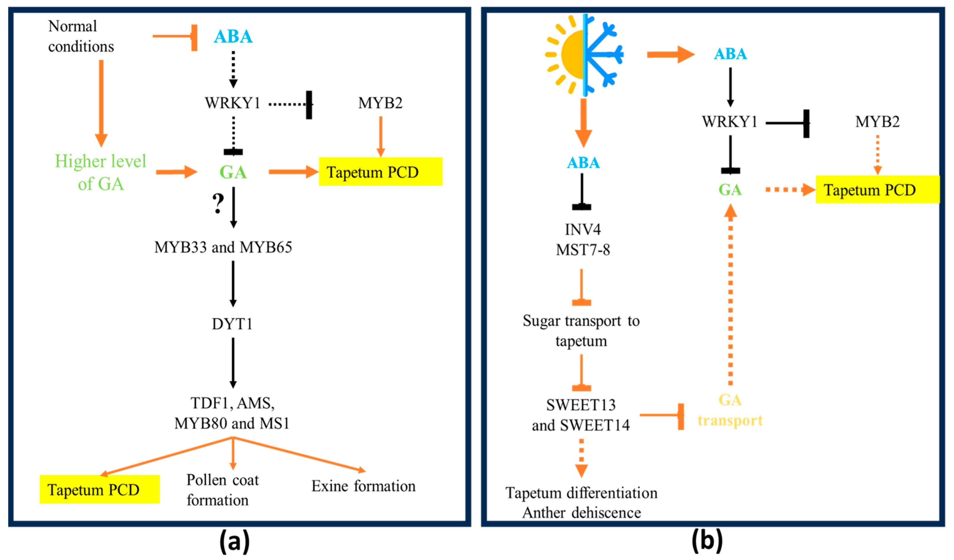 Plants 14 00749 g004