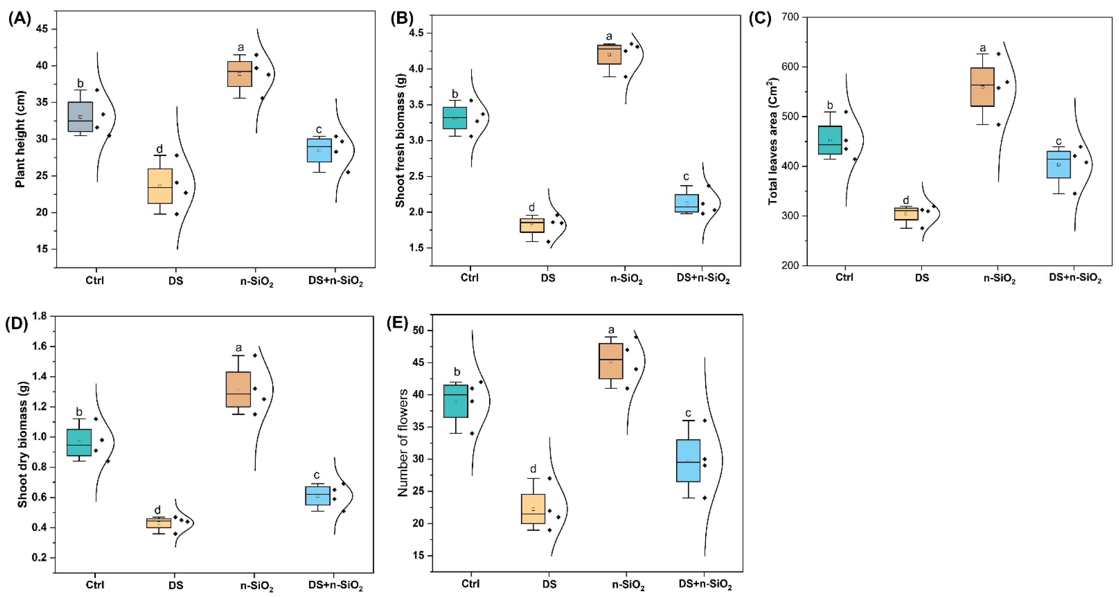Plants 14 00751 g002