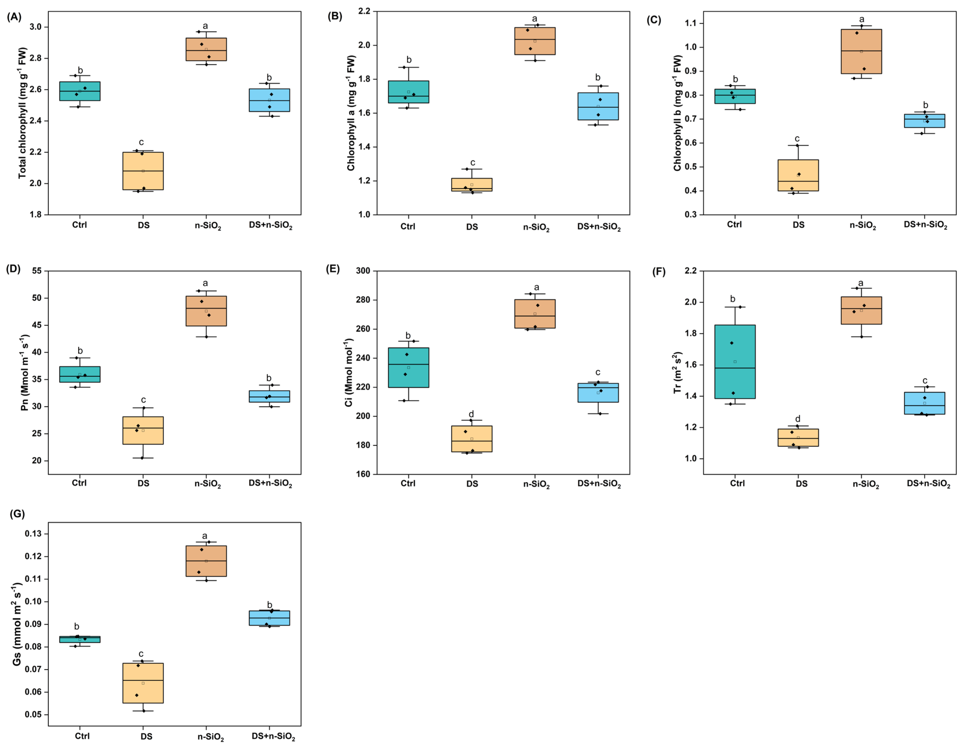Plants 14 00751 g004