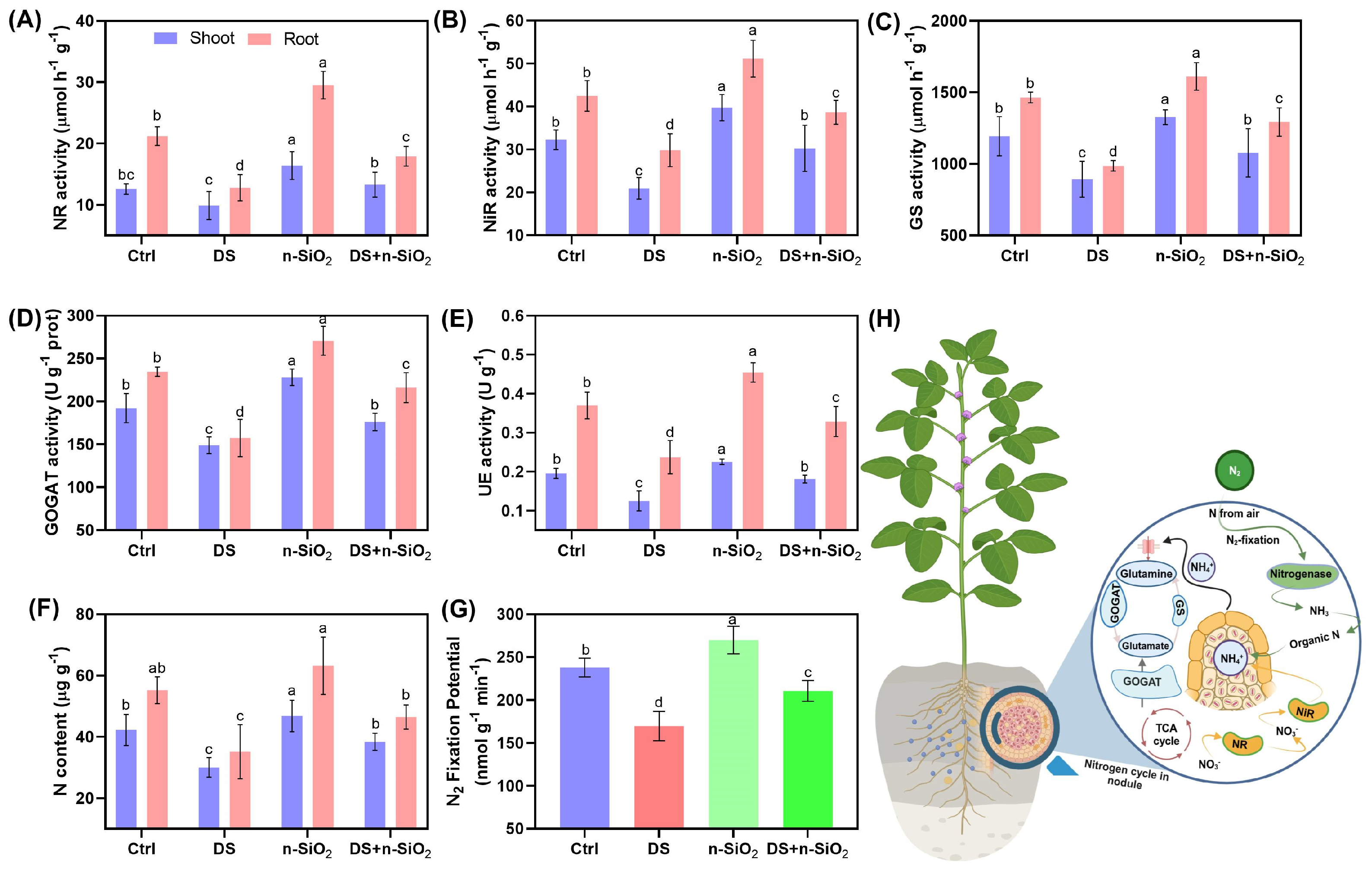 Plants 14 00751 g006