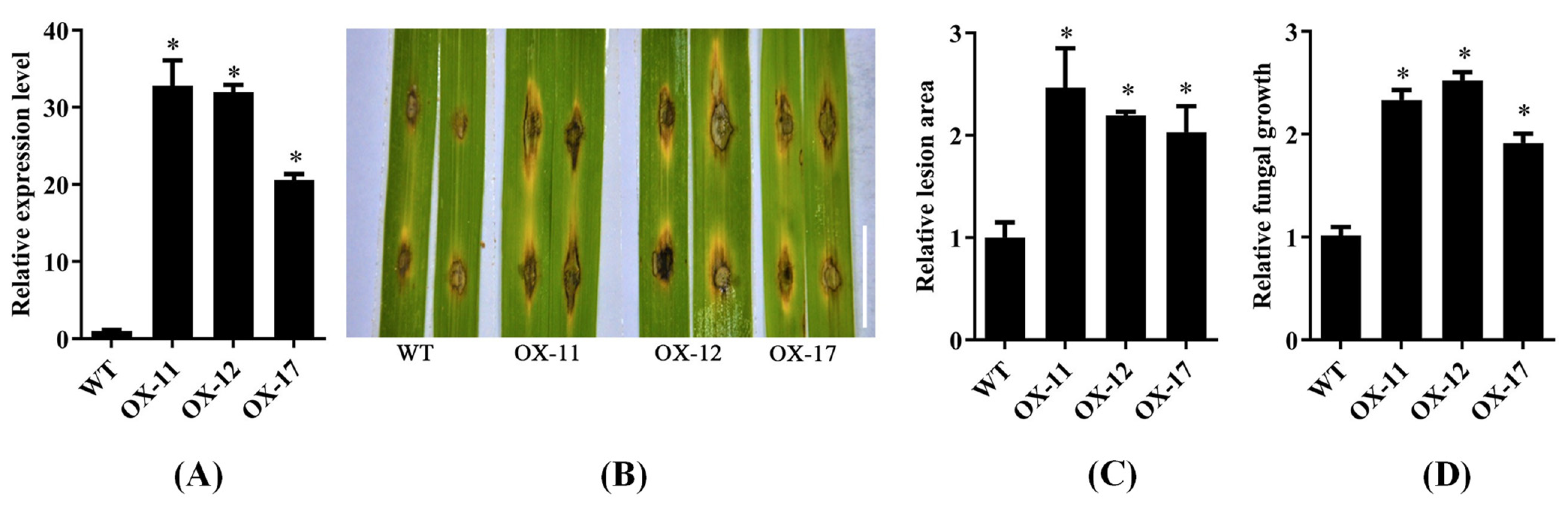 Plants 14 00758 g005