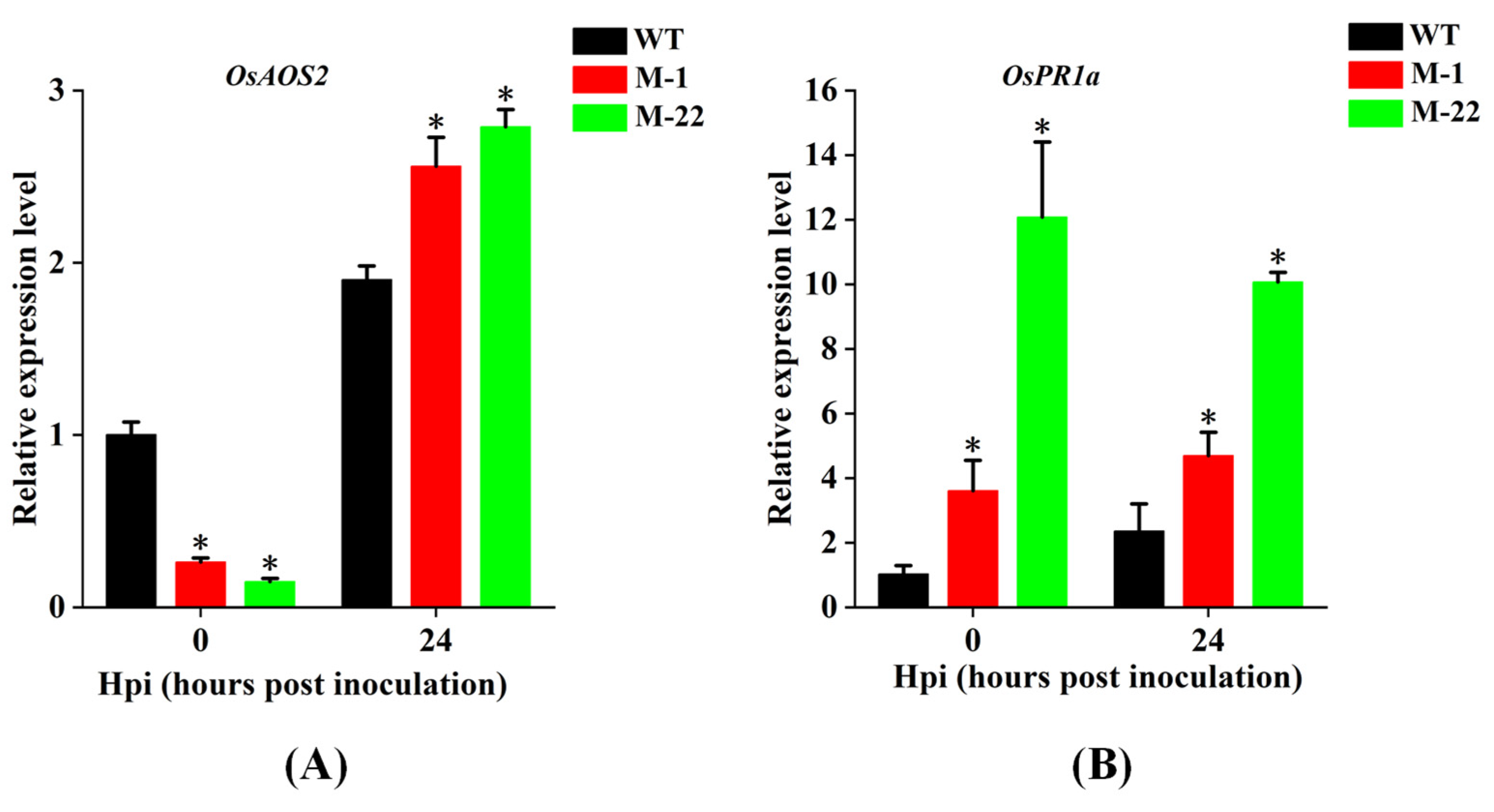 Plants 14 00758 g007