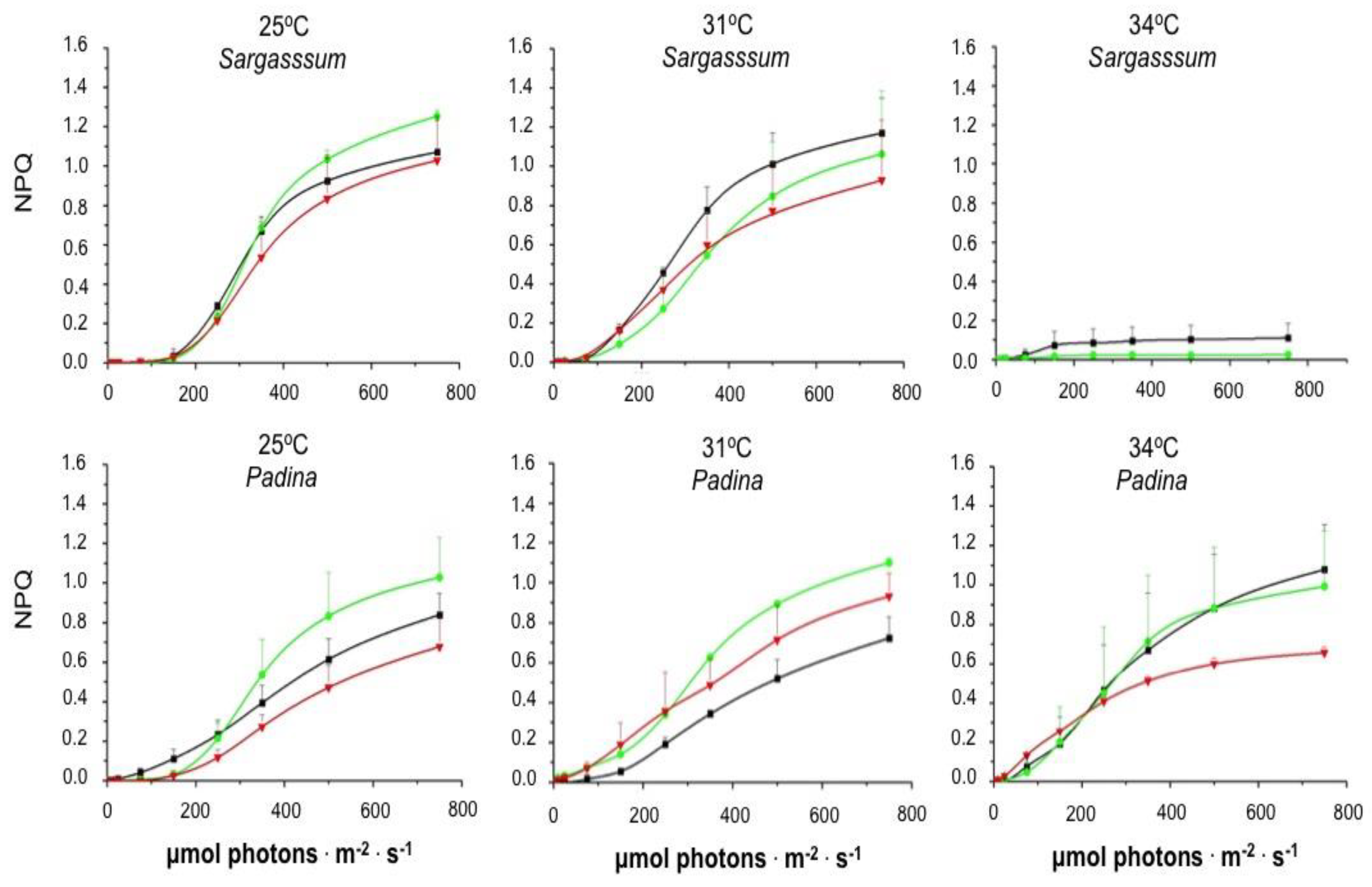 Plants 14 00759 g005