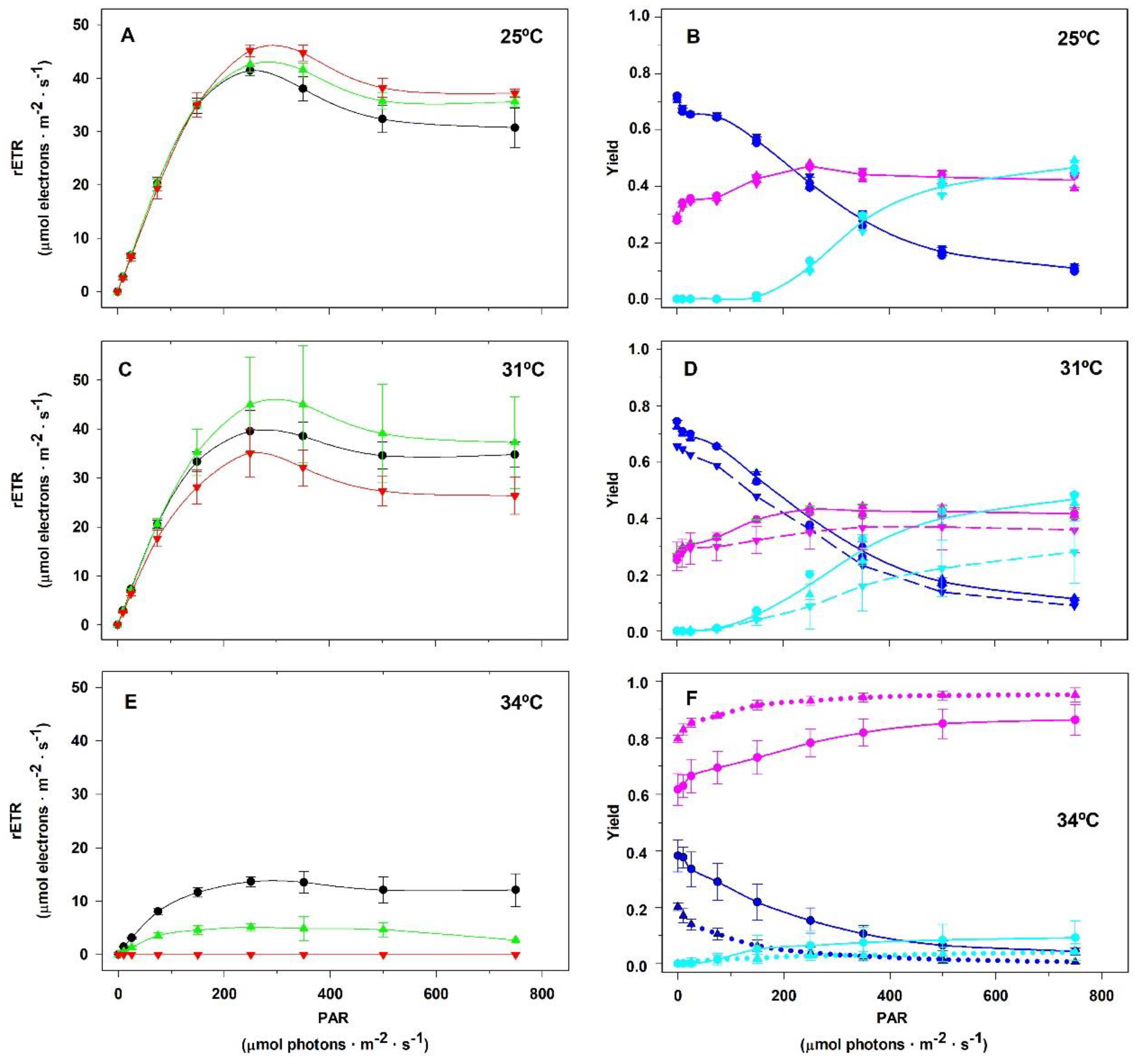 Plants 14 00759 g007