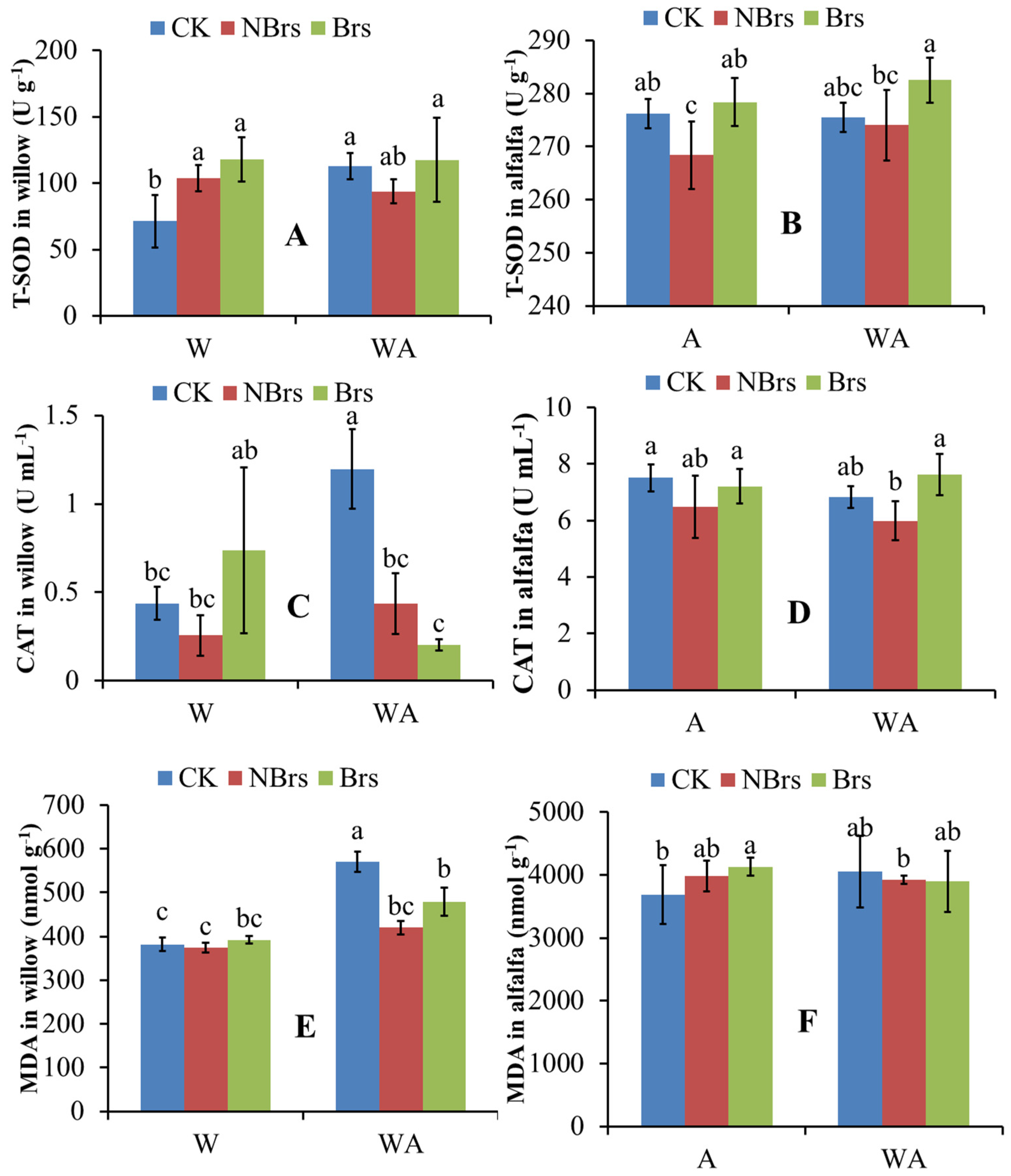 Plants 14 00765 g003