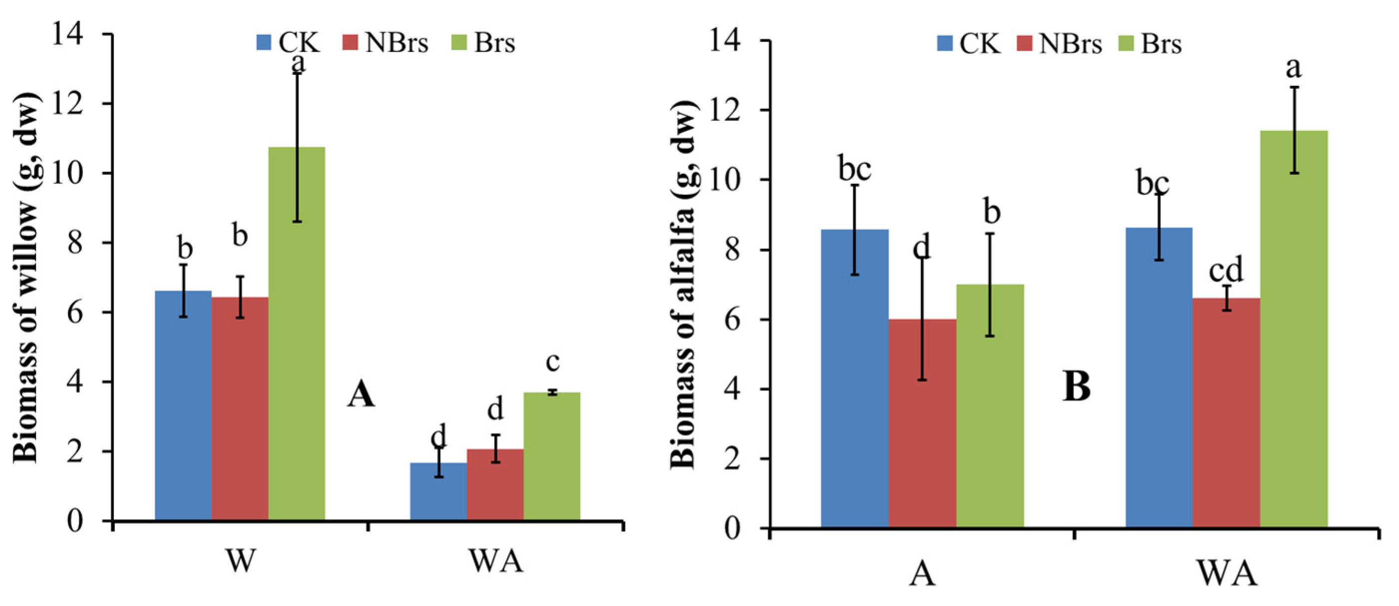 Plants 14 00765 g004