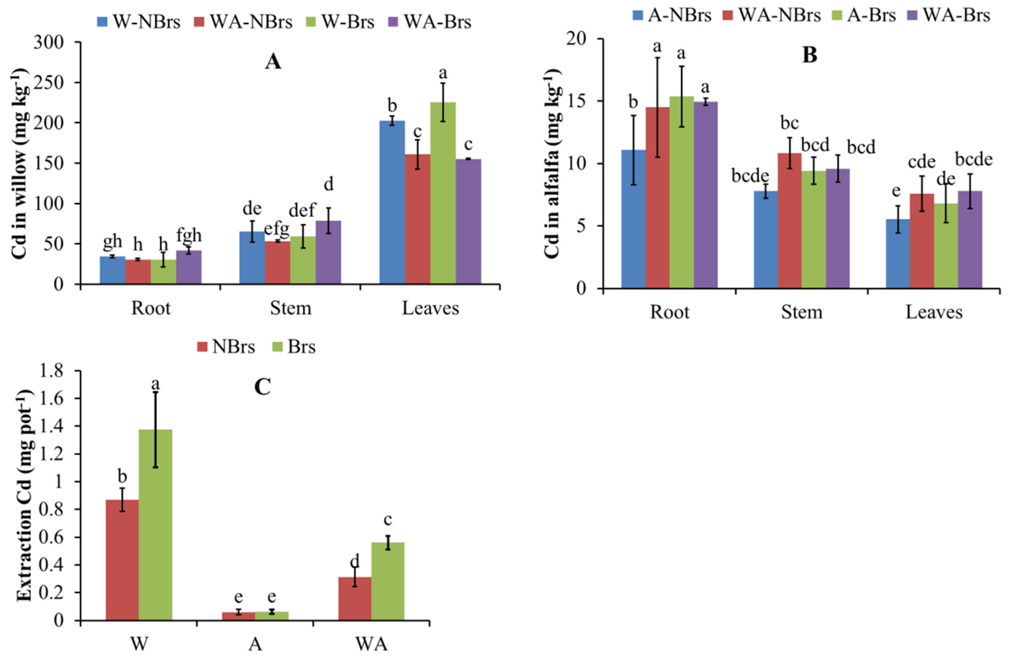 Plants 14 00765 g006
