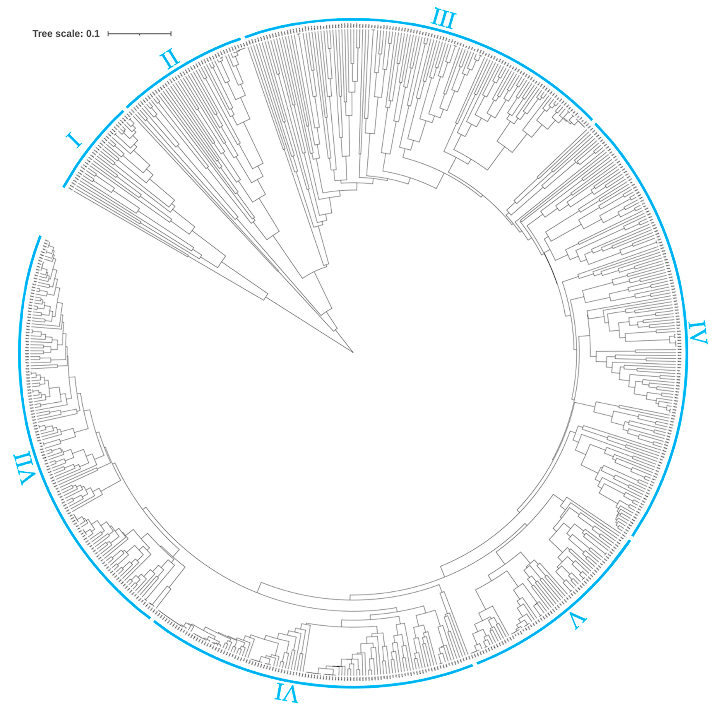 Plants 14 00771 g002