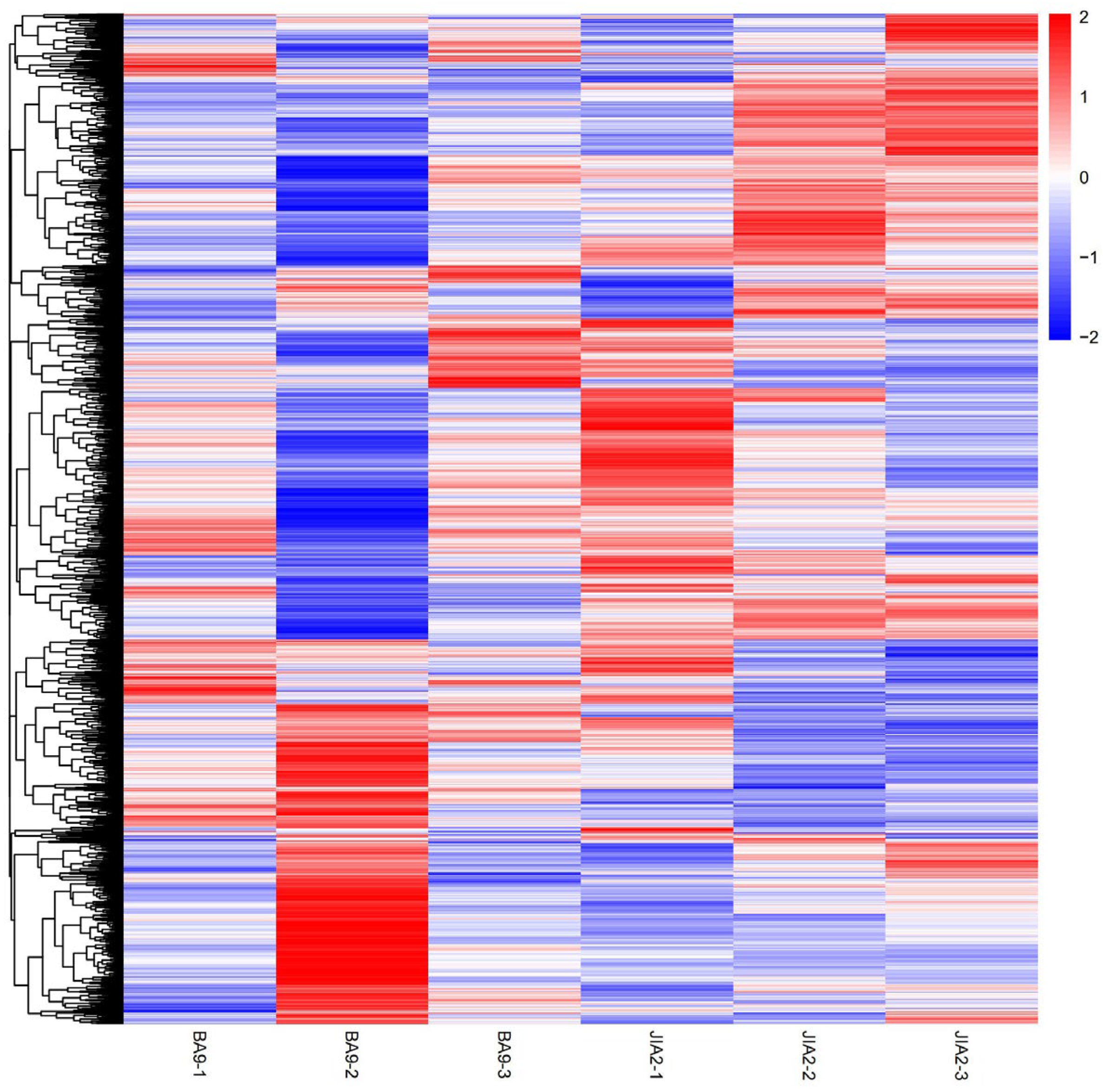 Plants 14 00792 g010
