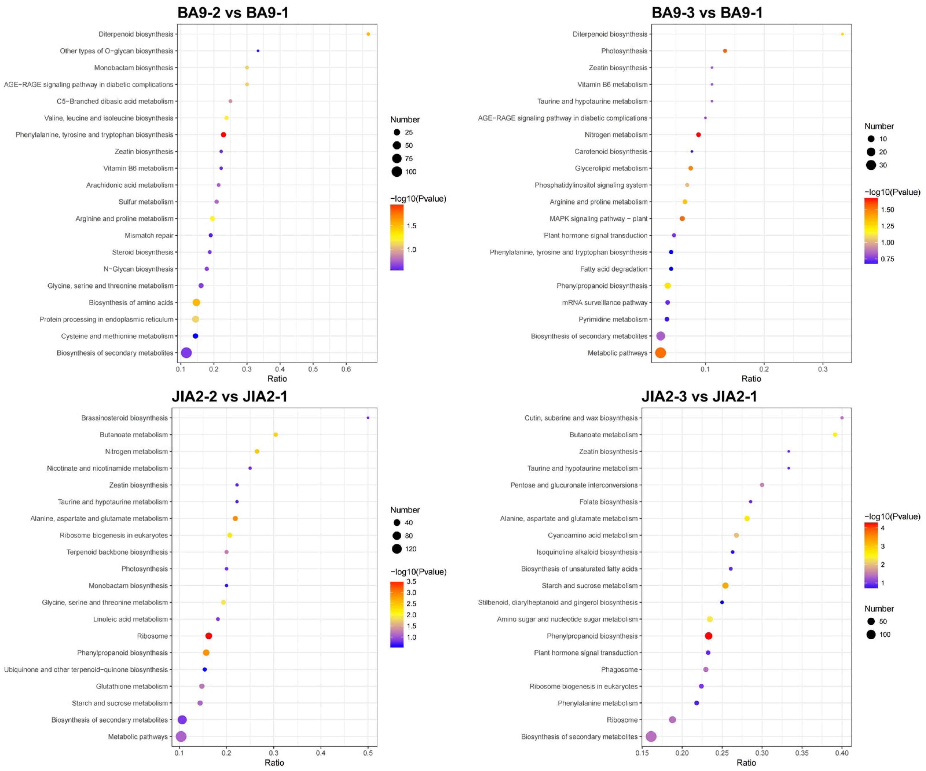 Plants 14 00792 g012